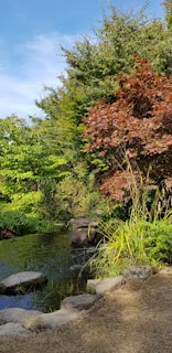 A serene garden pond surrounded by lush greenery and colorful flowers.