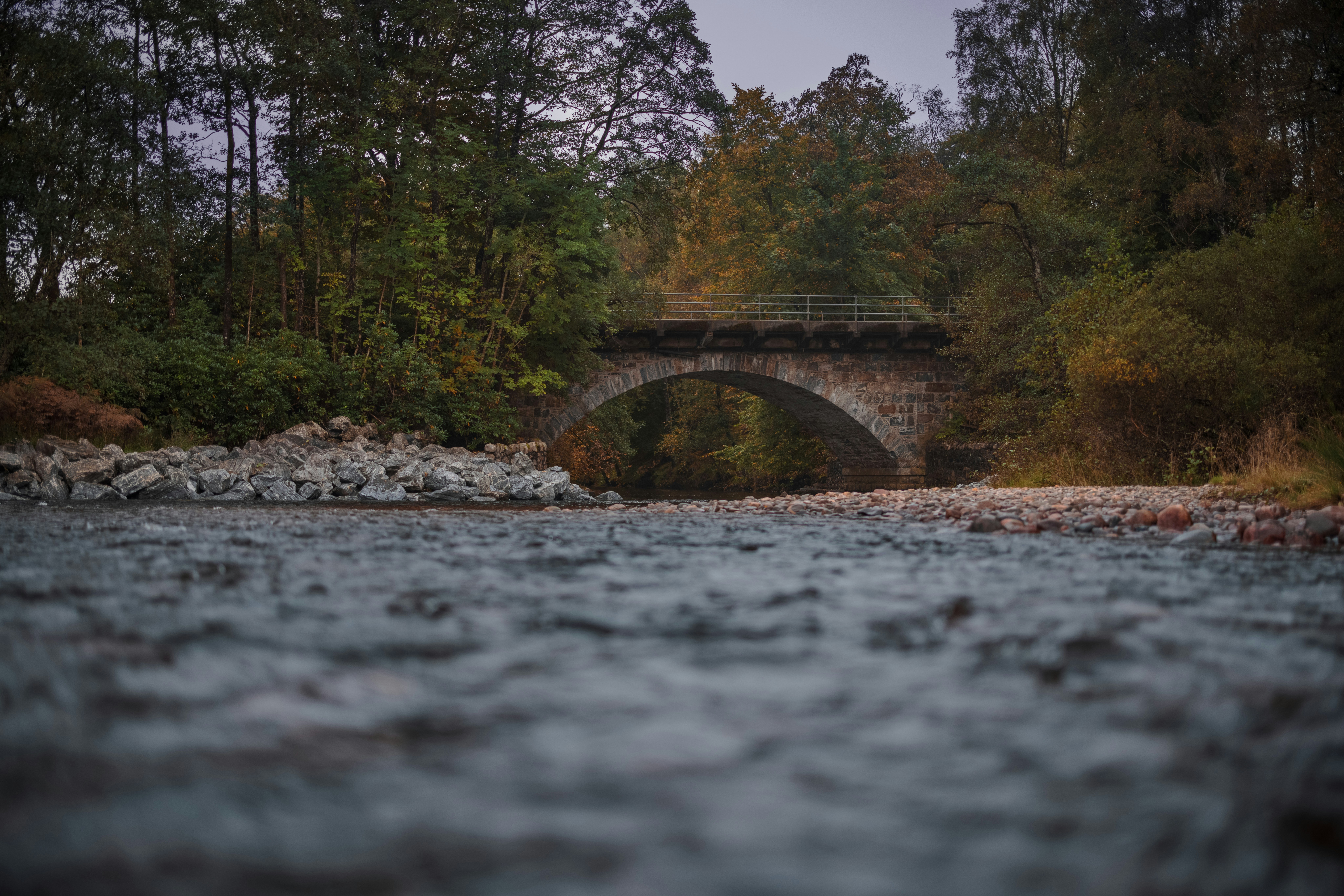 Photo by wanderingcrow