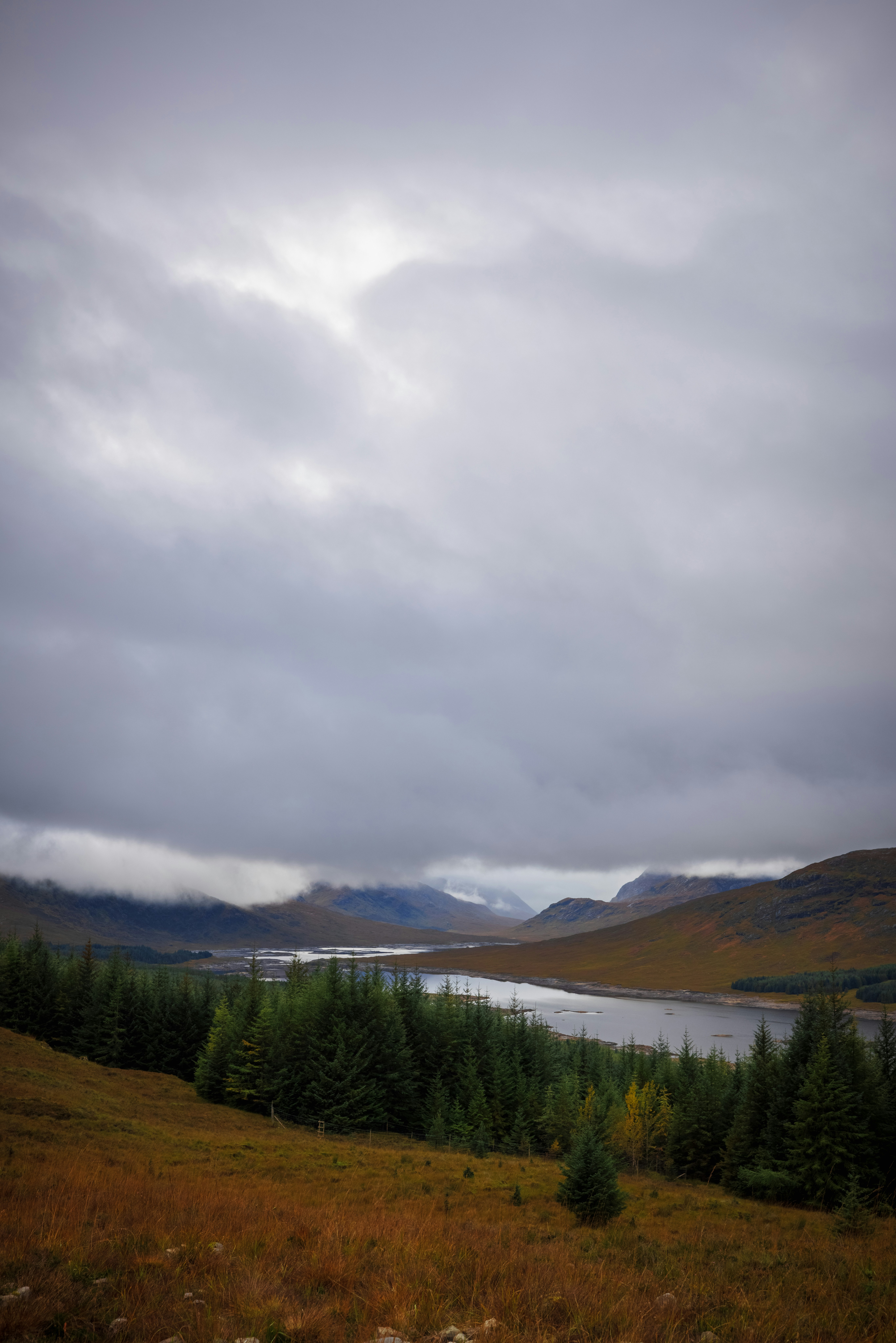 Photo by wanderingcrow