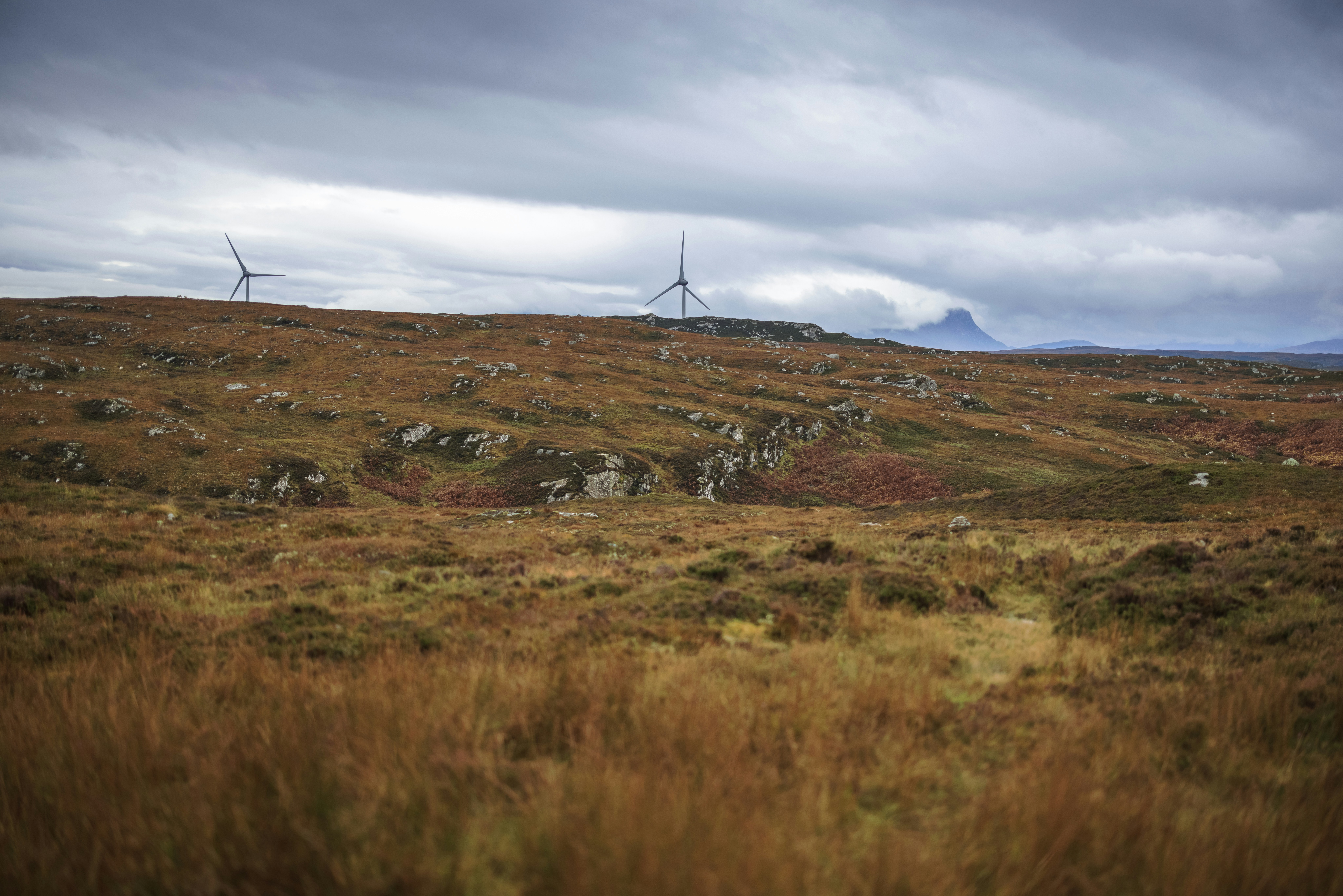 a grassy field with wind turbines in the distance