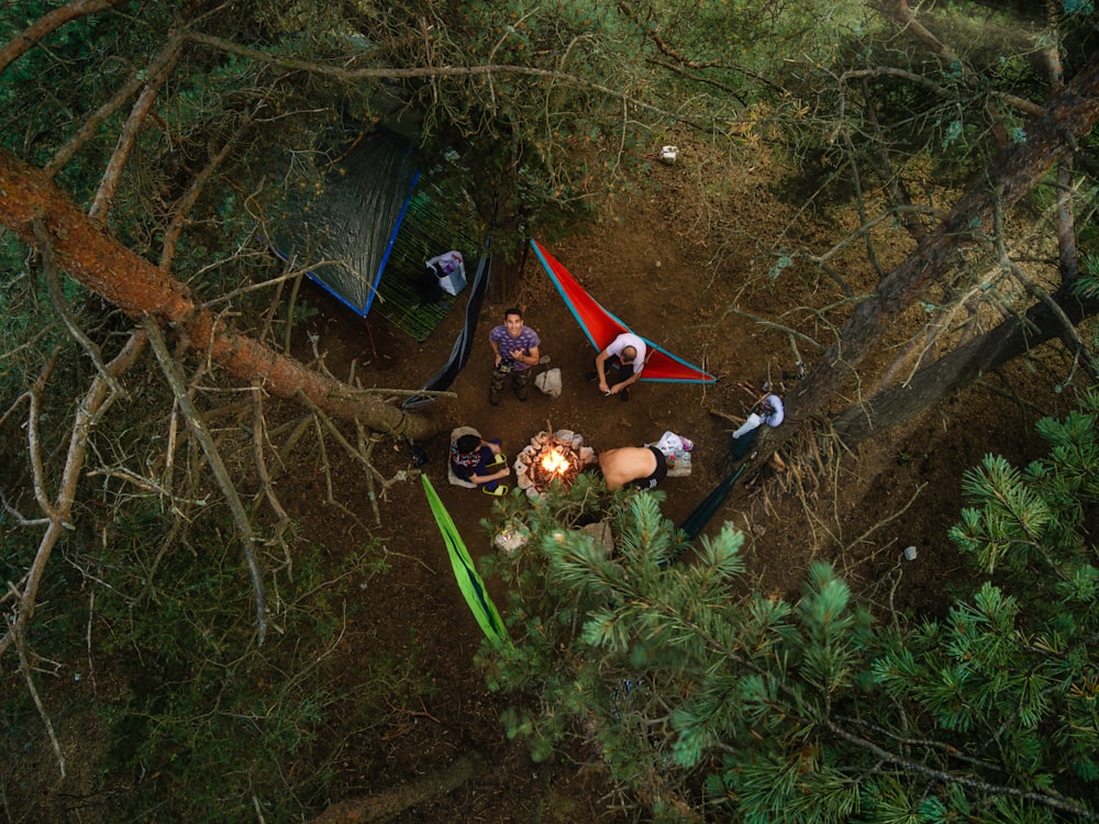 Un grupo de personas sentadas alrededor de una fogata en el bosque
