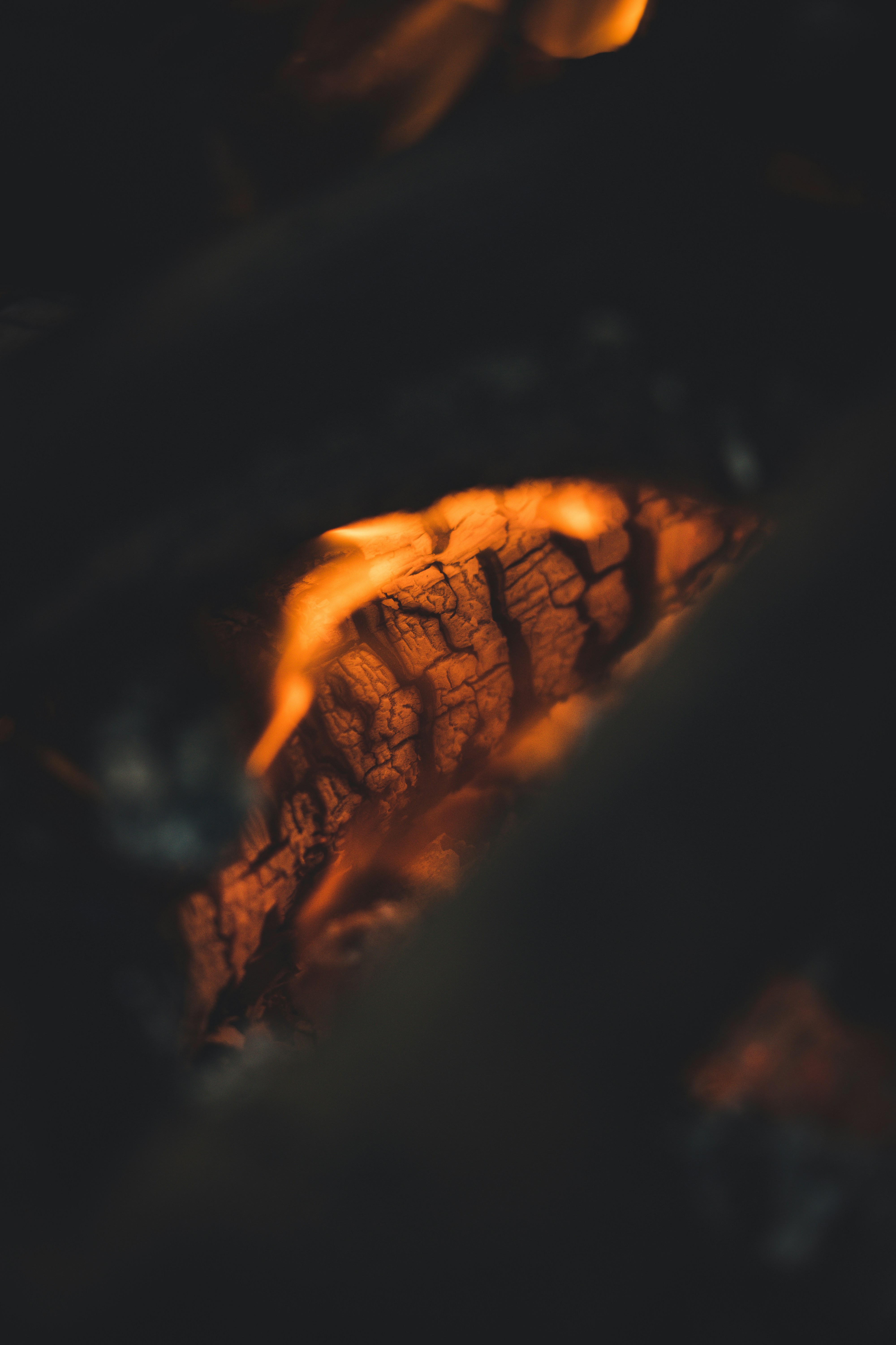 Photo by theverticalstory