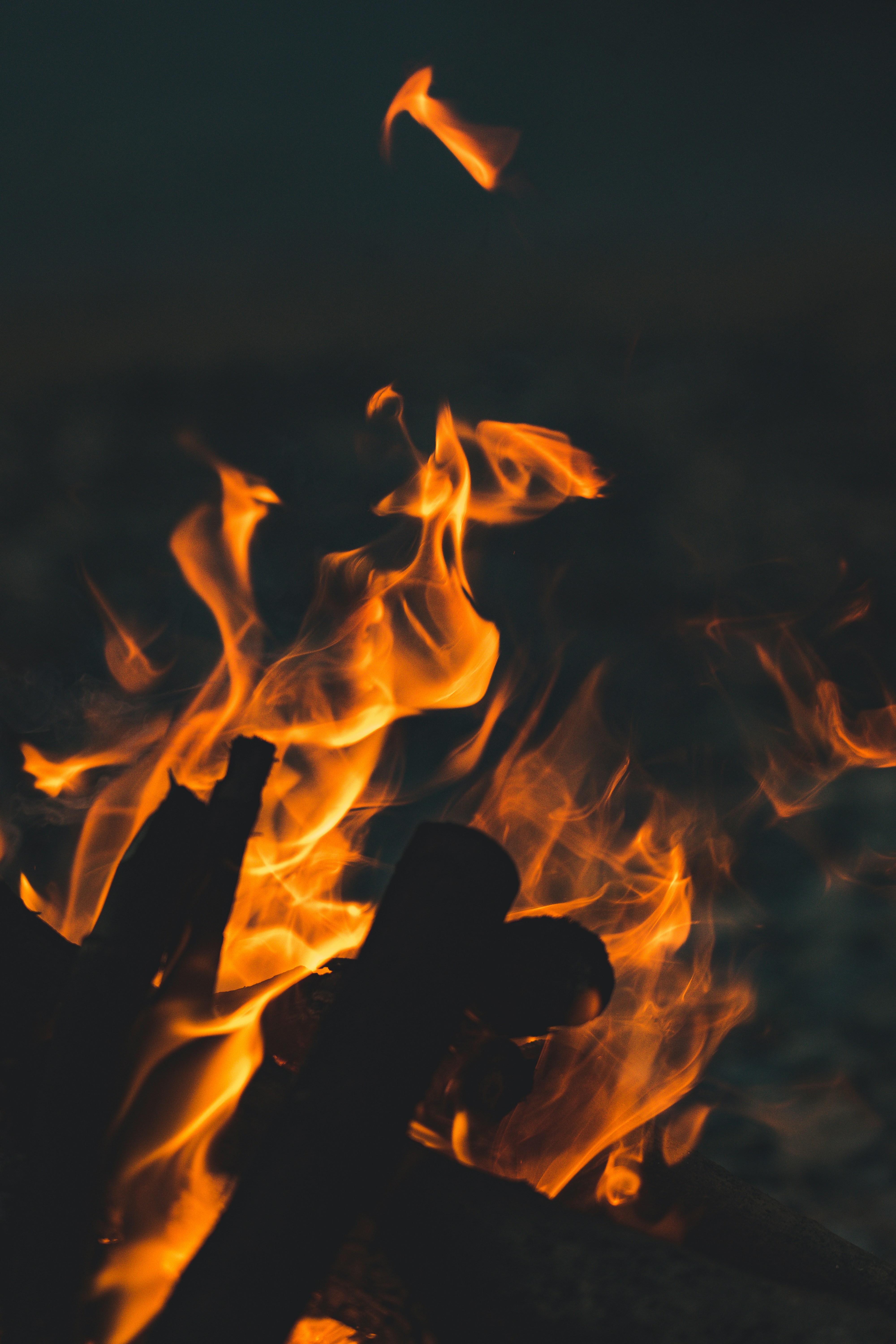 Photo by theverticalstory