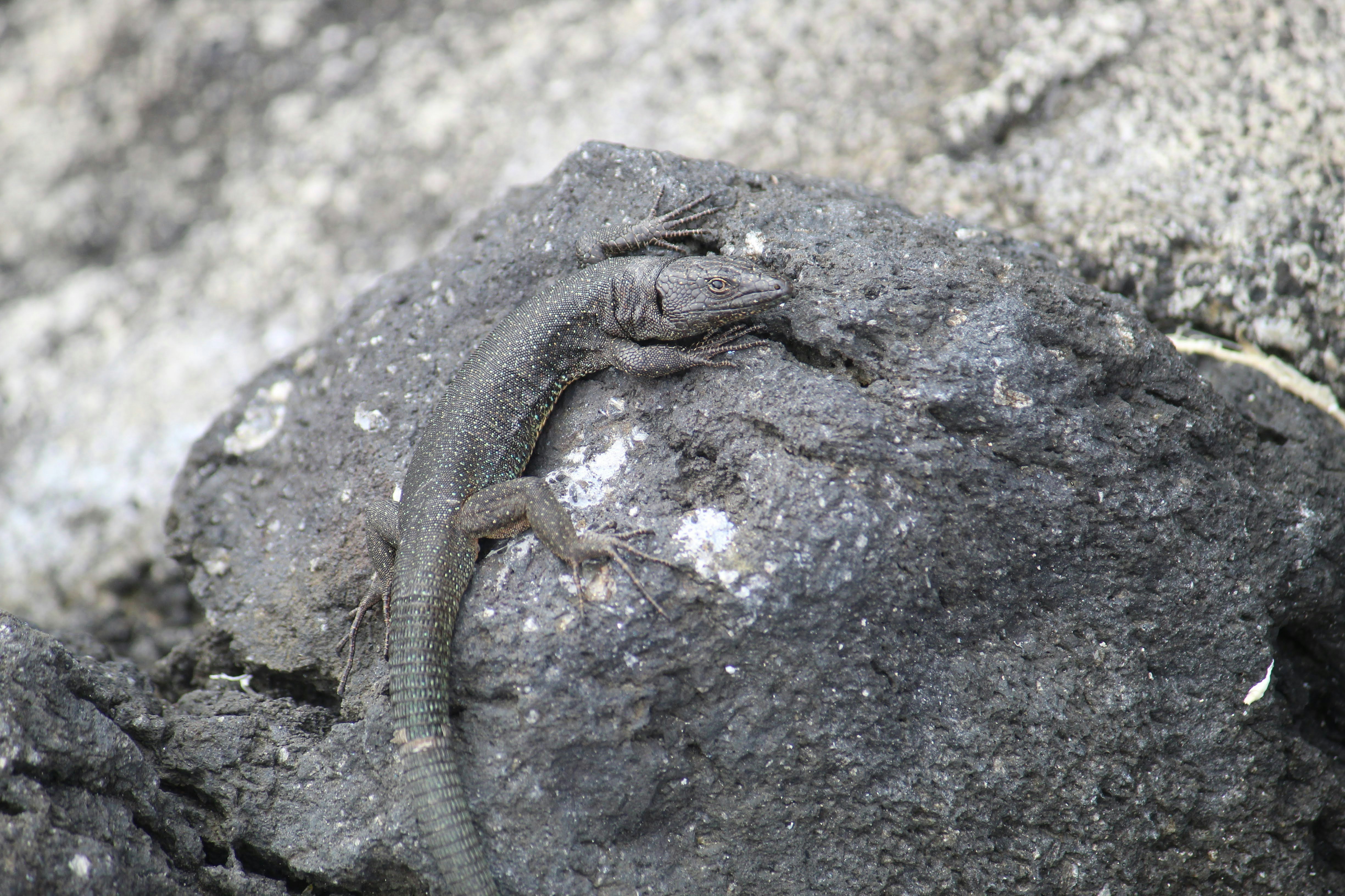 Photo by antoniopalha