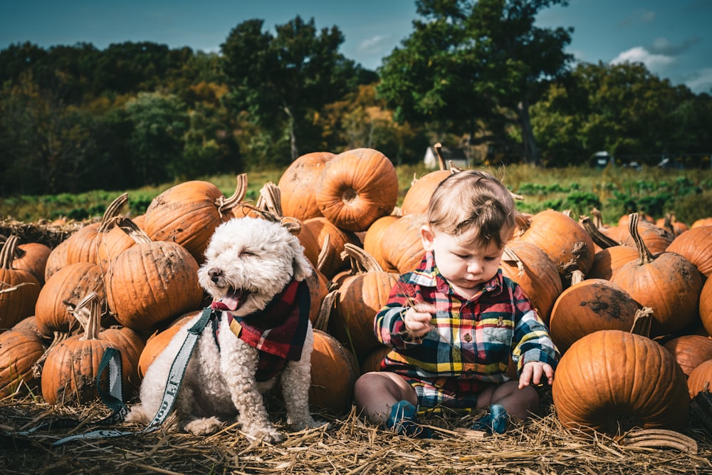 a little boy sitting in a pile of pumpkins
