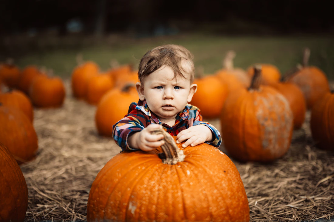 Young child enjoying a family-friendly pumpkin patch