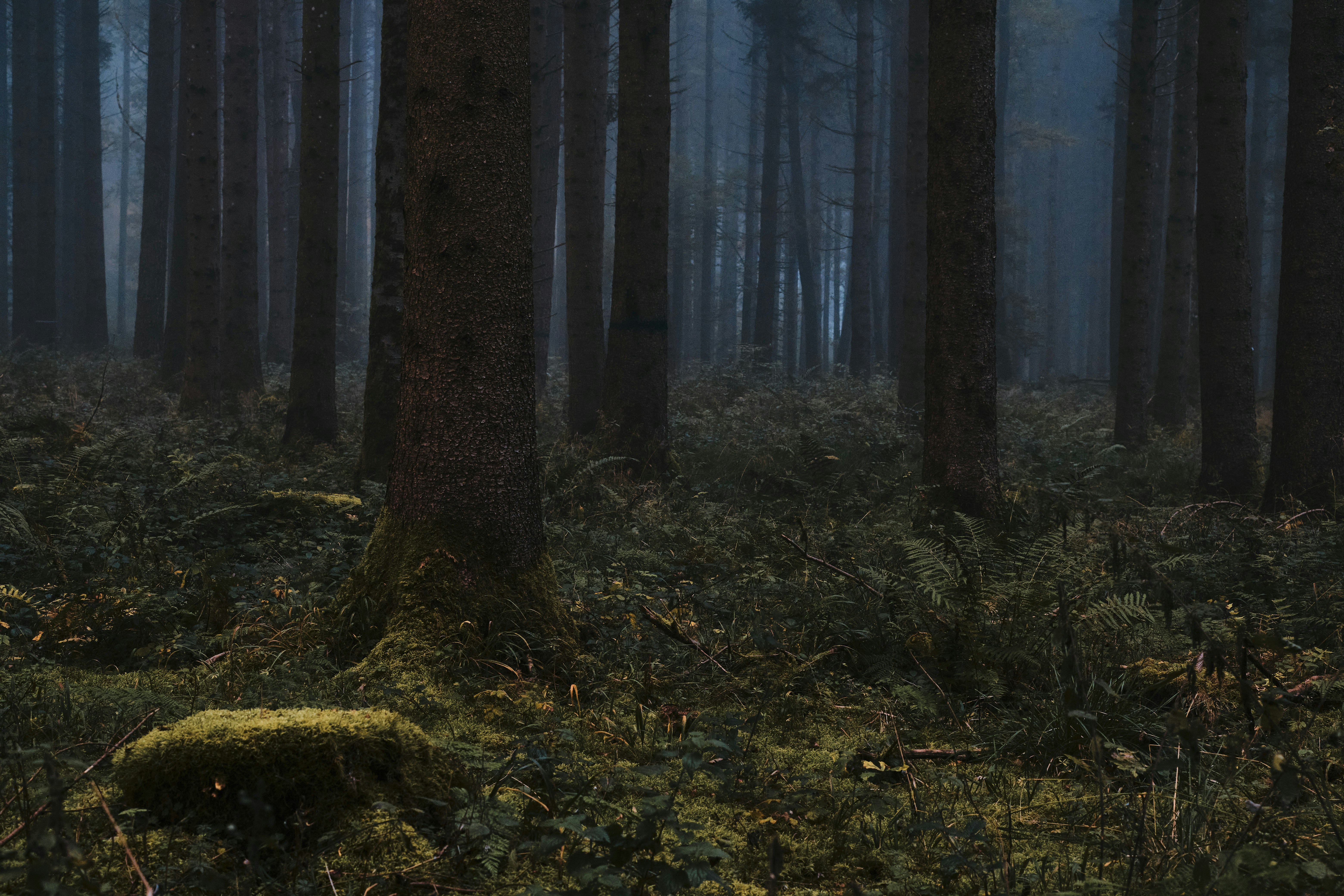 Photo by rolf_schmidbauer