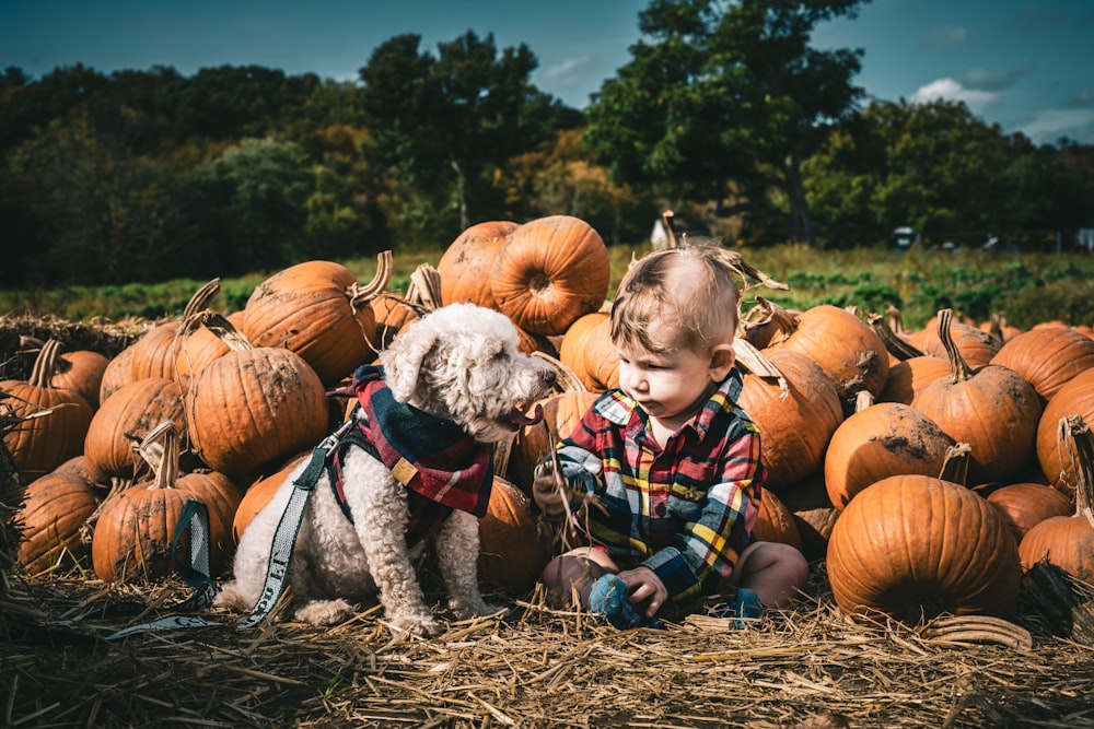 a baby and a dog sitting in a field of pumpkins