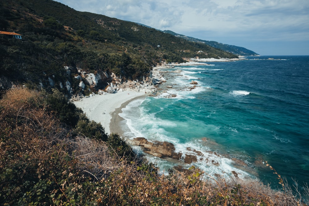 a view of a beach from the top of a hill