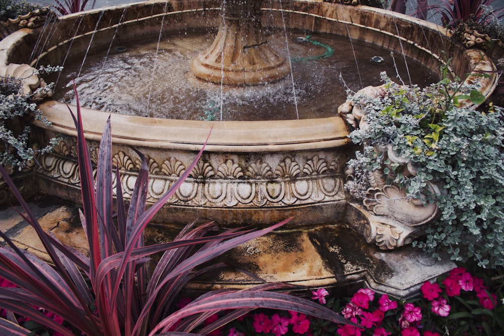 a water fountain surrounded by flowers and plants