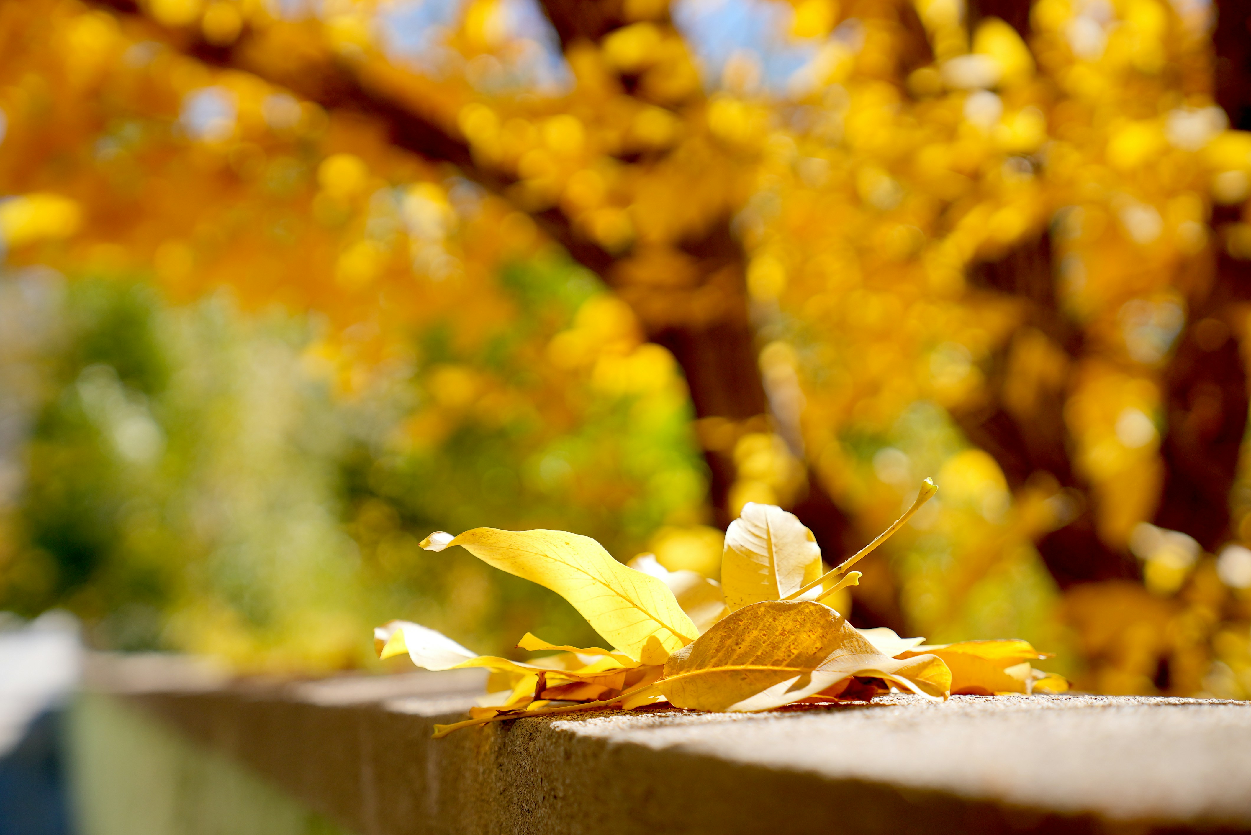 Photo by rafieeartist