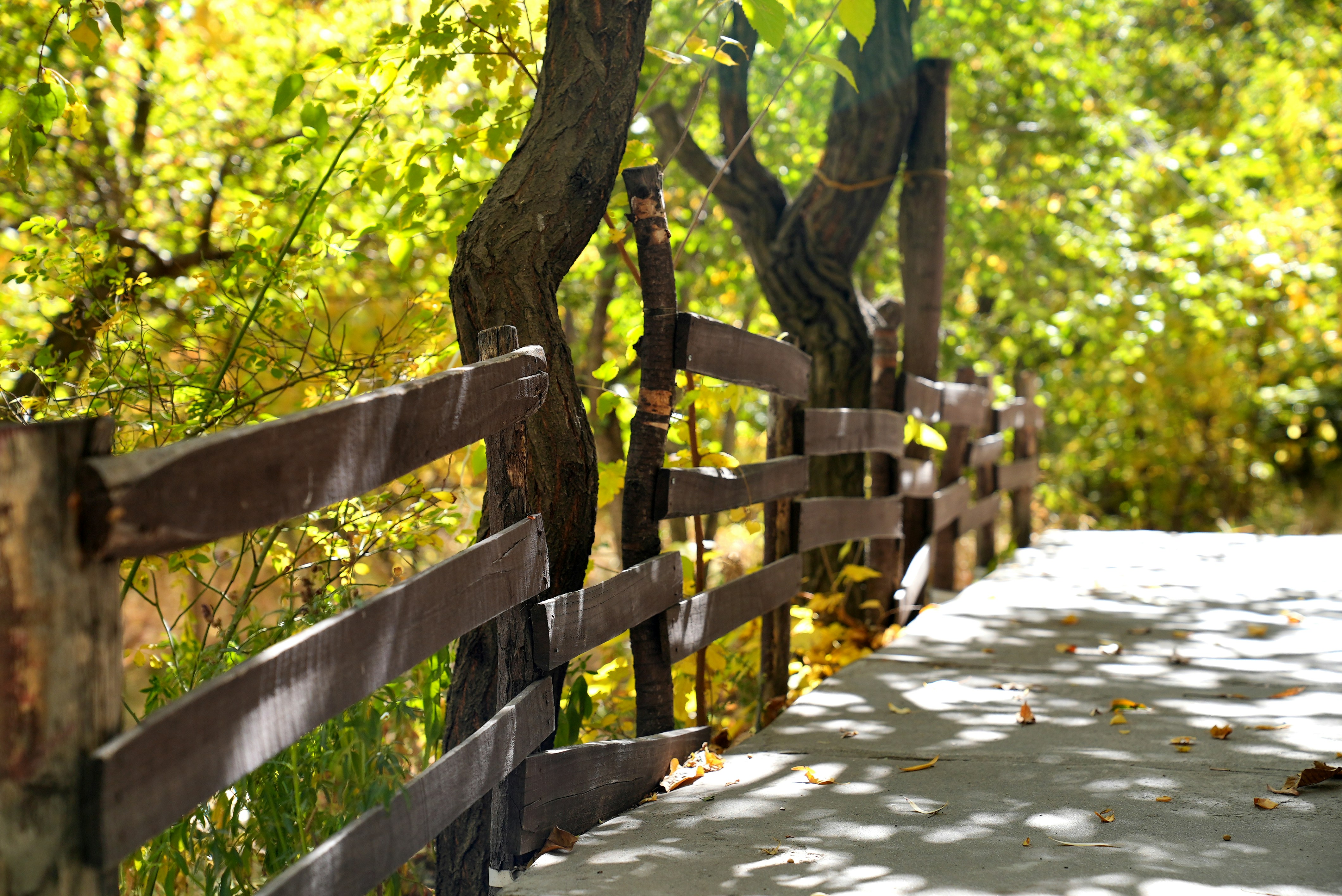 Photo by rafieeartist