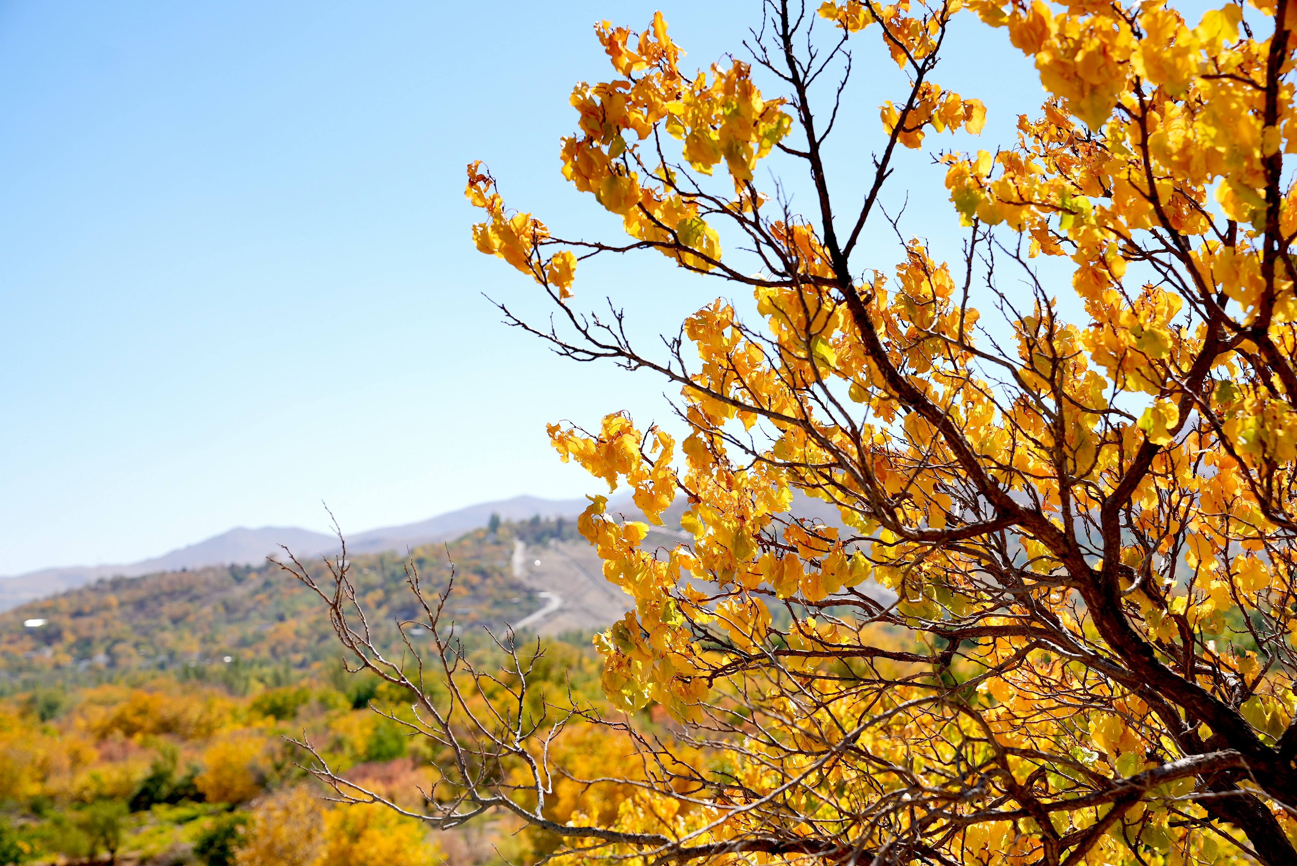 Photo by rafieeartist