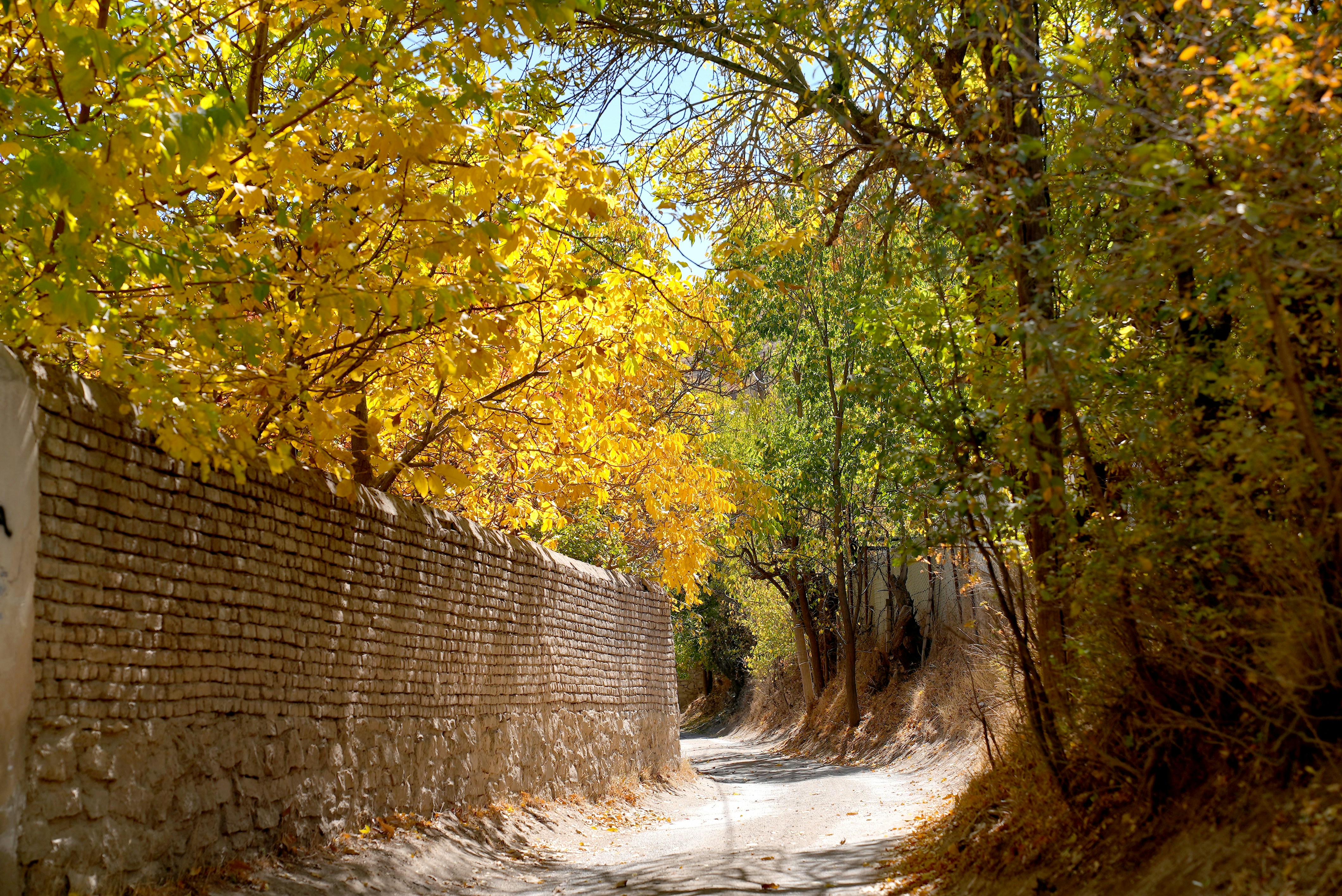 Photo by rafieeartist