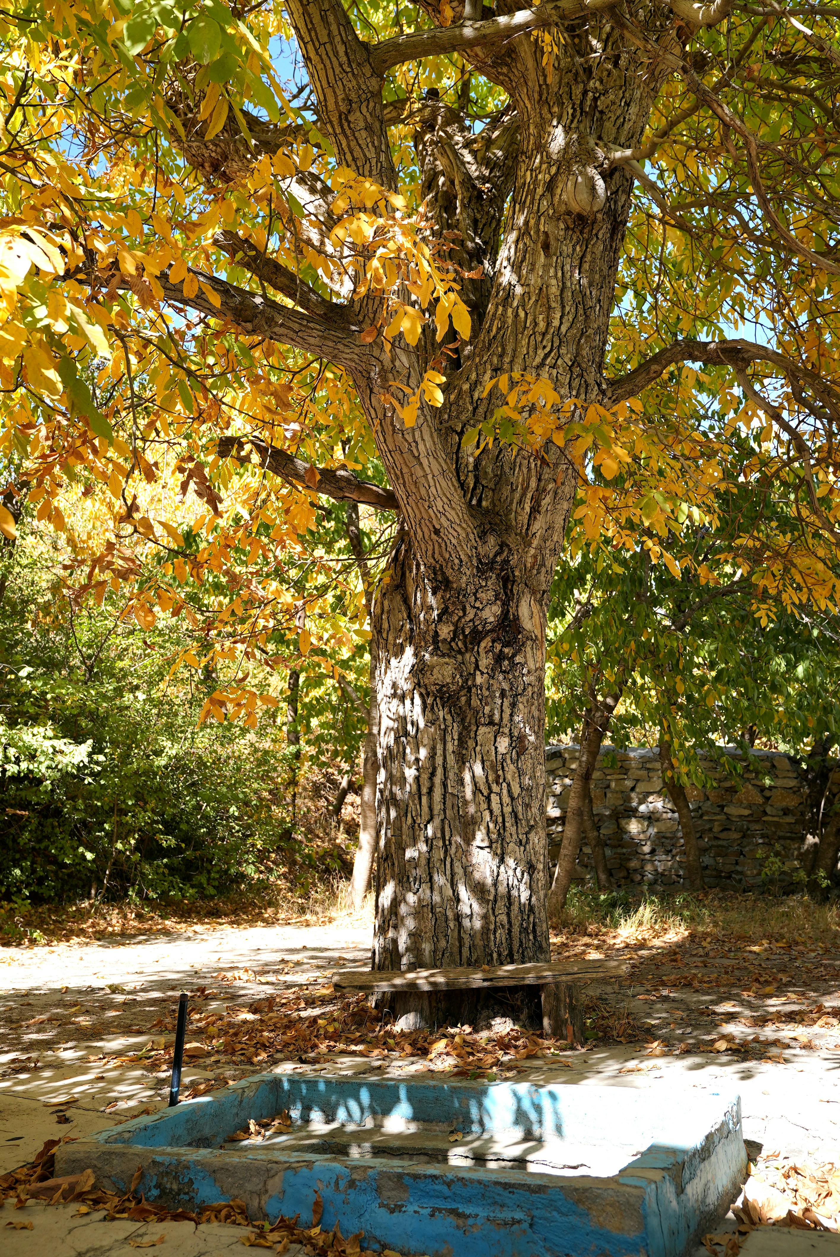 Photo by rafieeartist