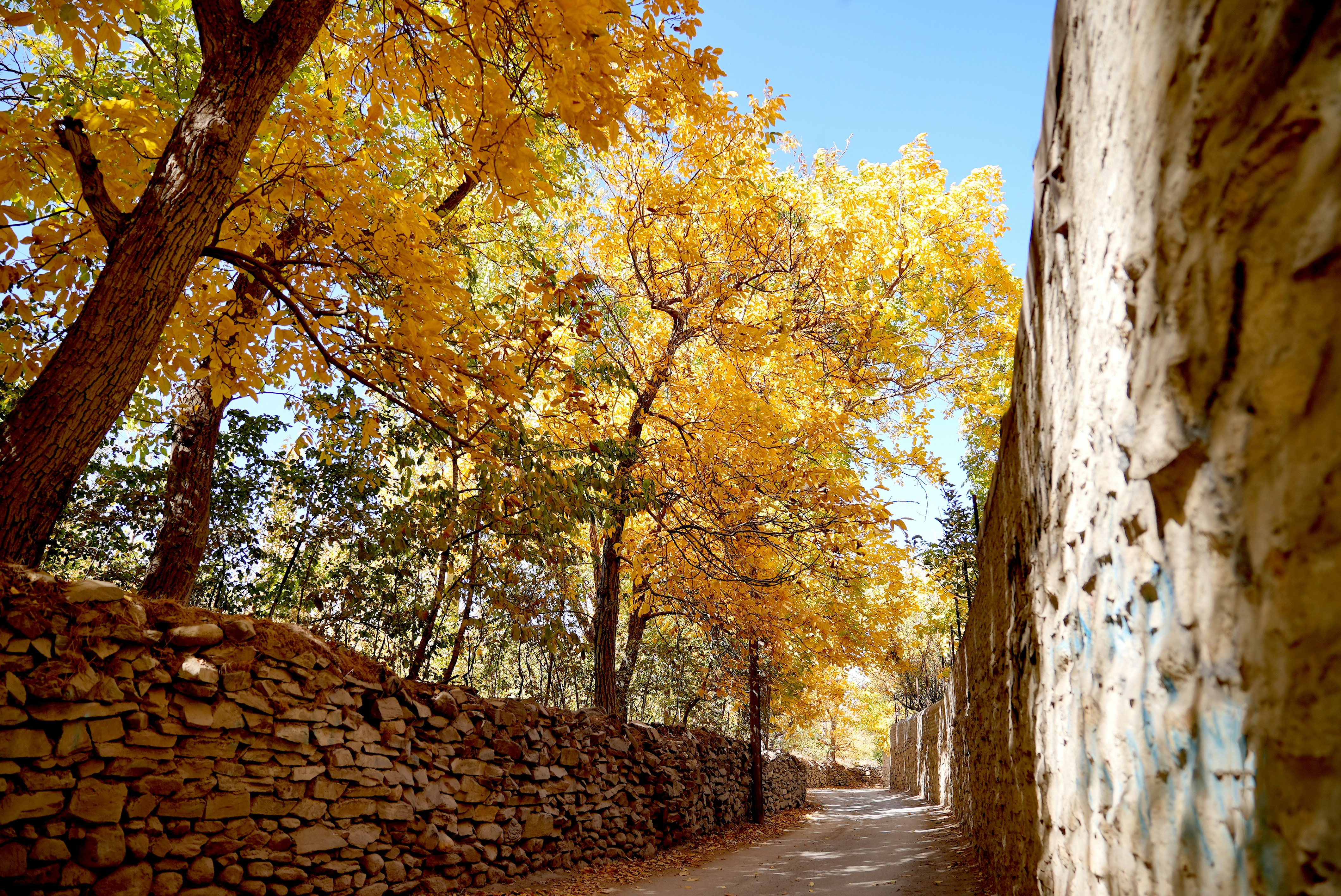 Photo by rafieeartist