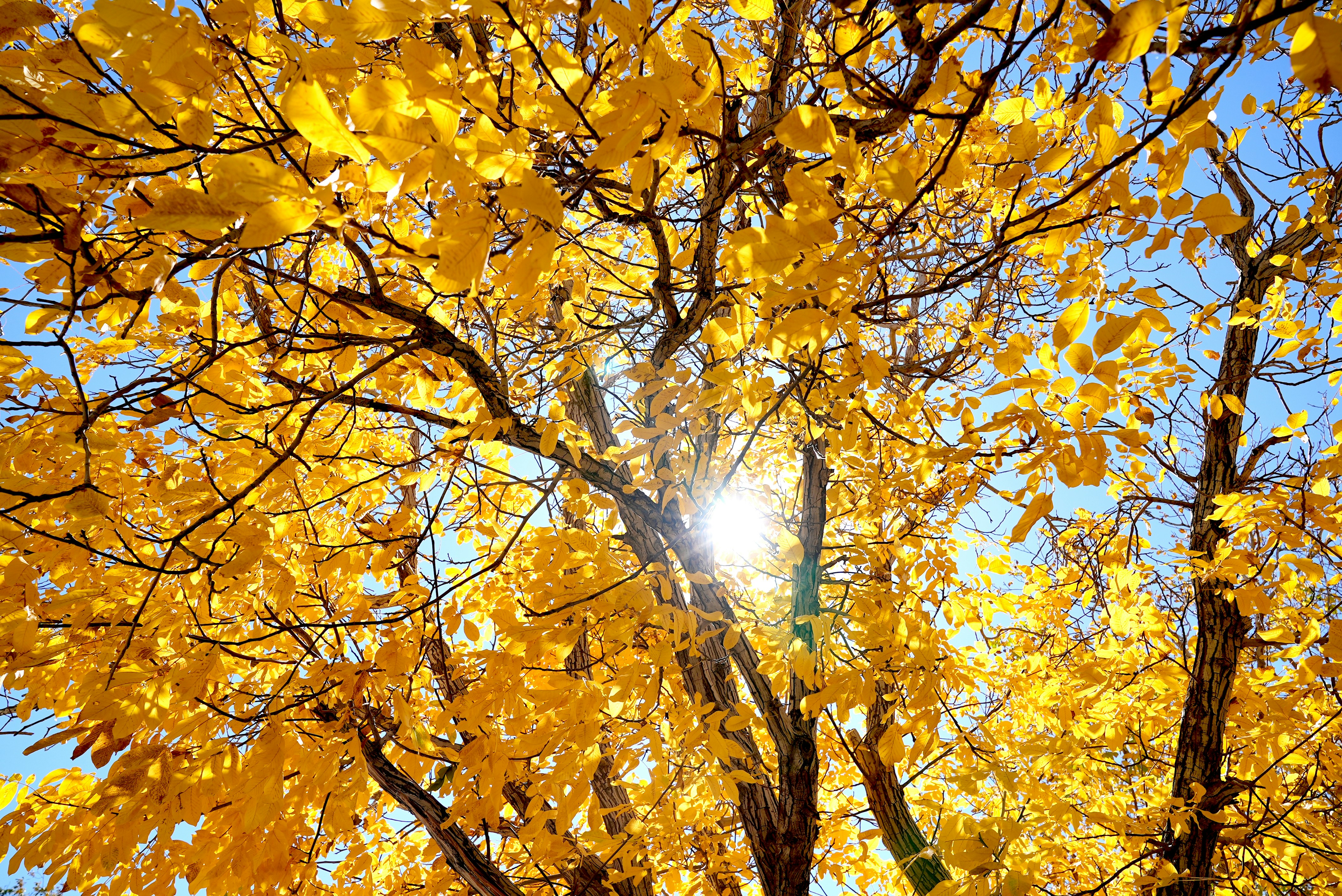 Photo by rafieeartist