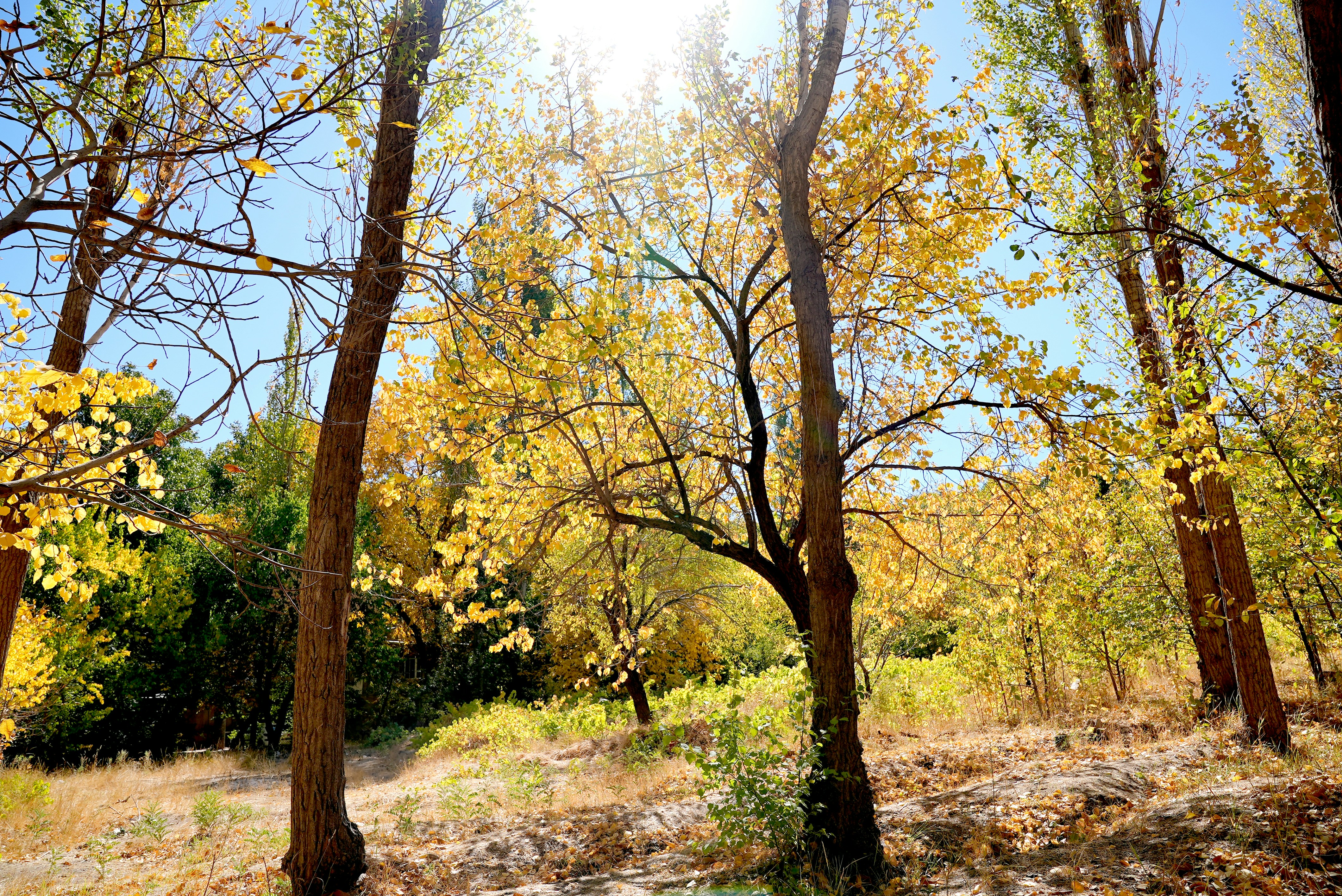 Photo by rafieeartist