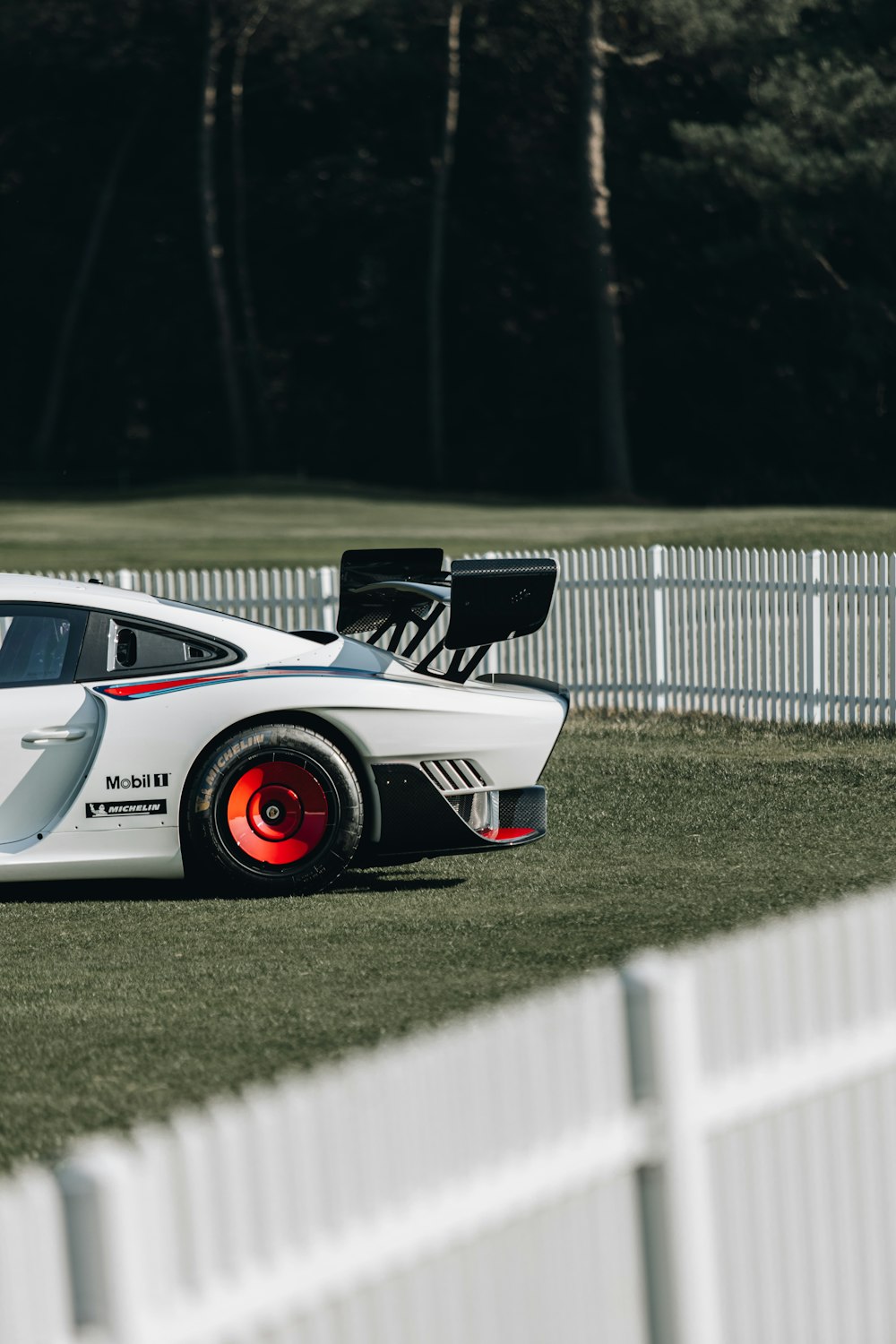 a white race car sitting on top of a lush green field