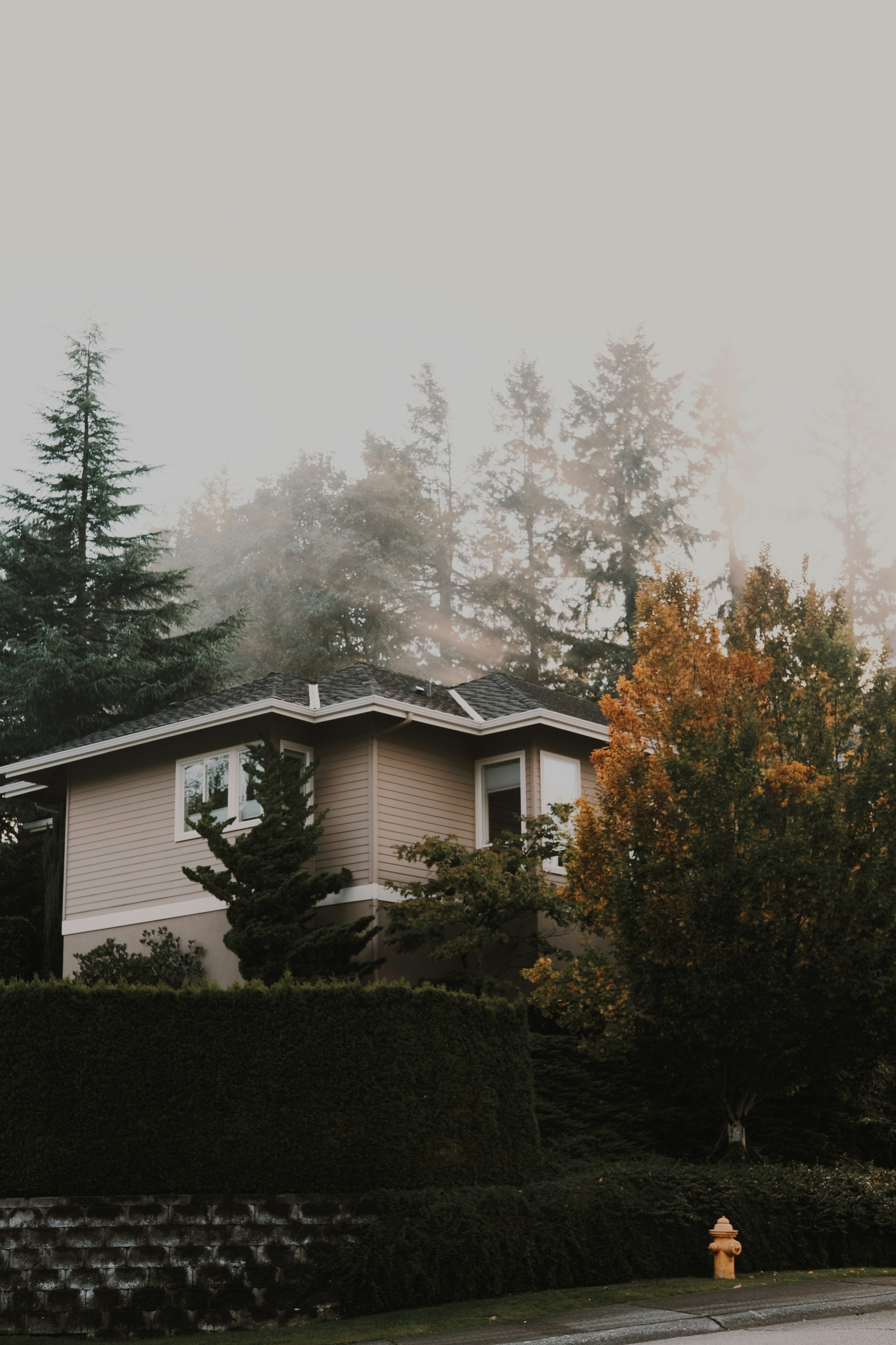 Photo by canwestoptalkingnow