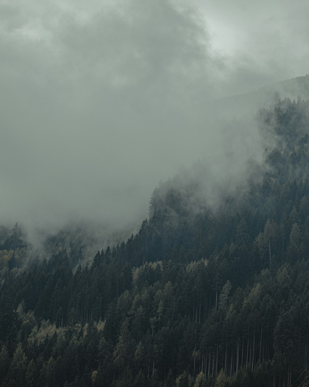 a mountain covered in fog and low lying clouds