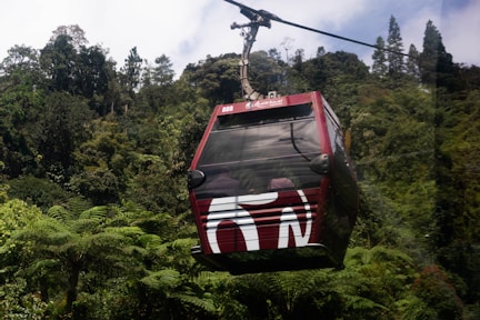 a red and white train traveling through a lush green forest