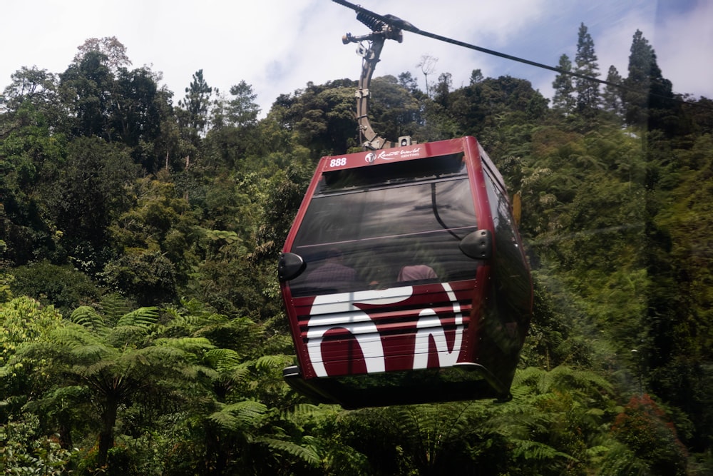 a red and white train traveling through a lush green forest