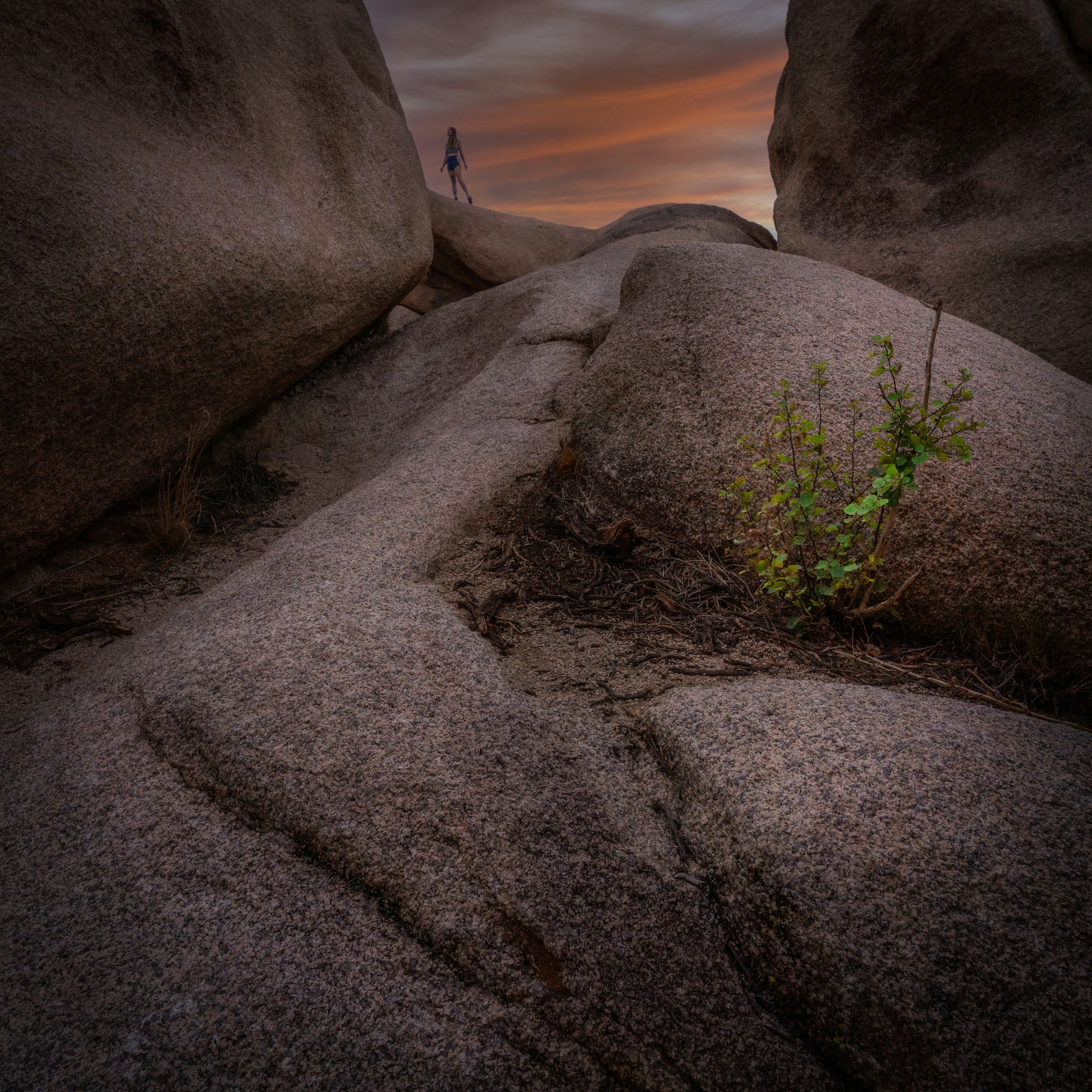 Photo by intricateexplorer