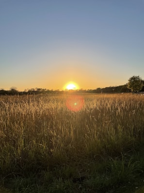 Sunset over the fields surrounding Diourbel, casting warm golden light.