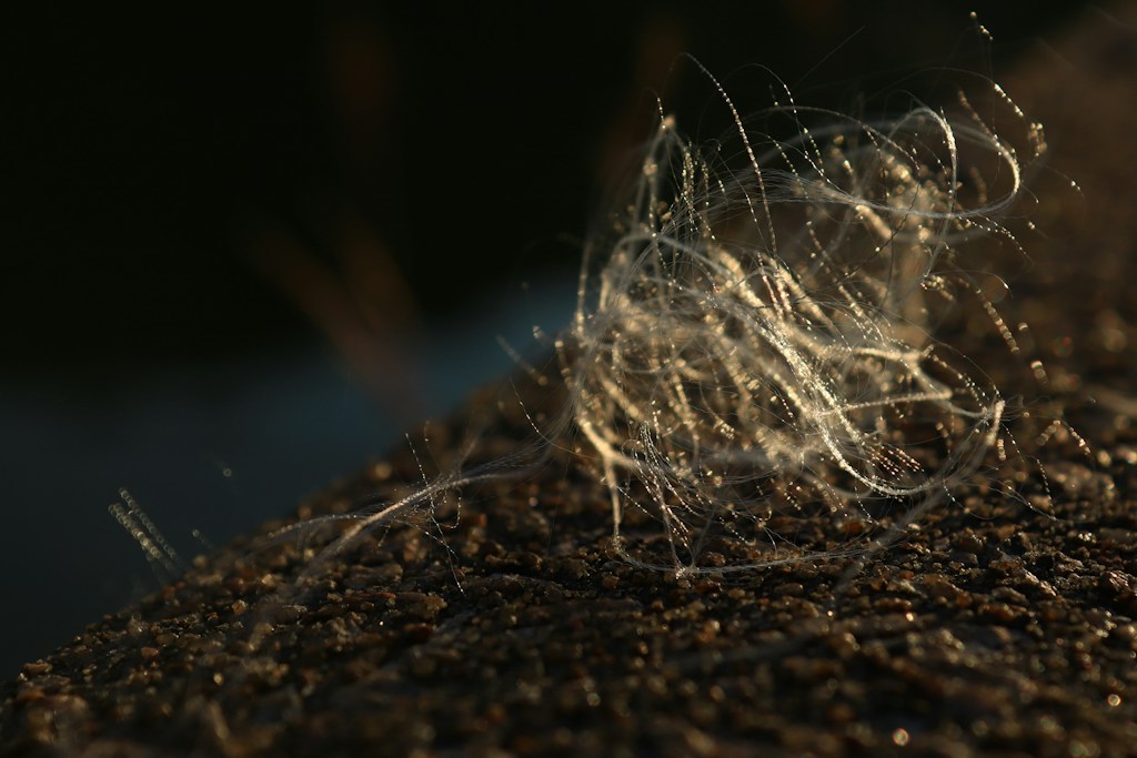 Pure Silk Thread