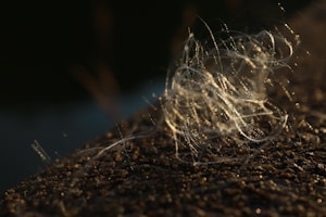 Pure Silk Thread