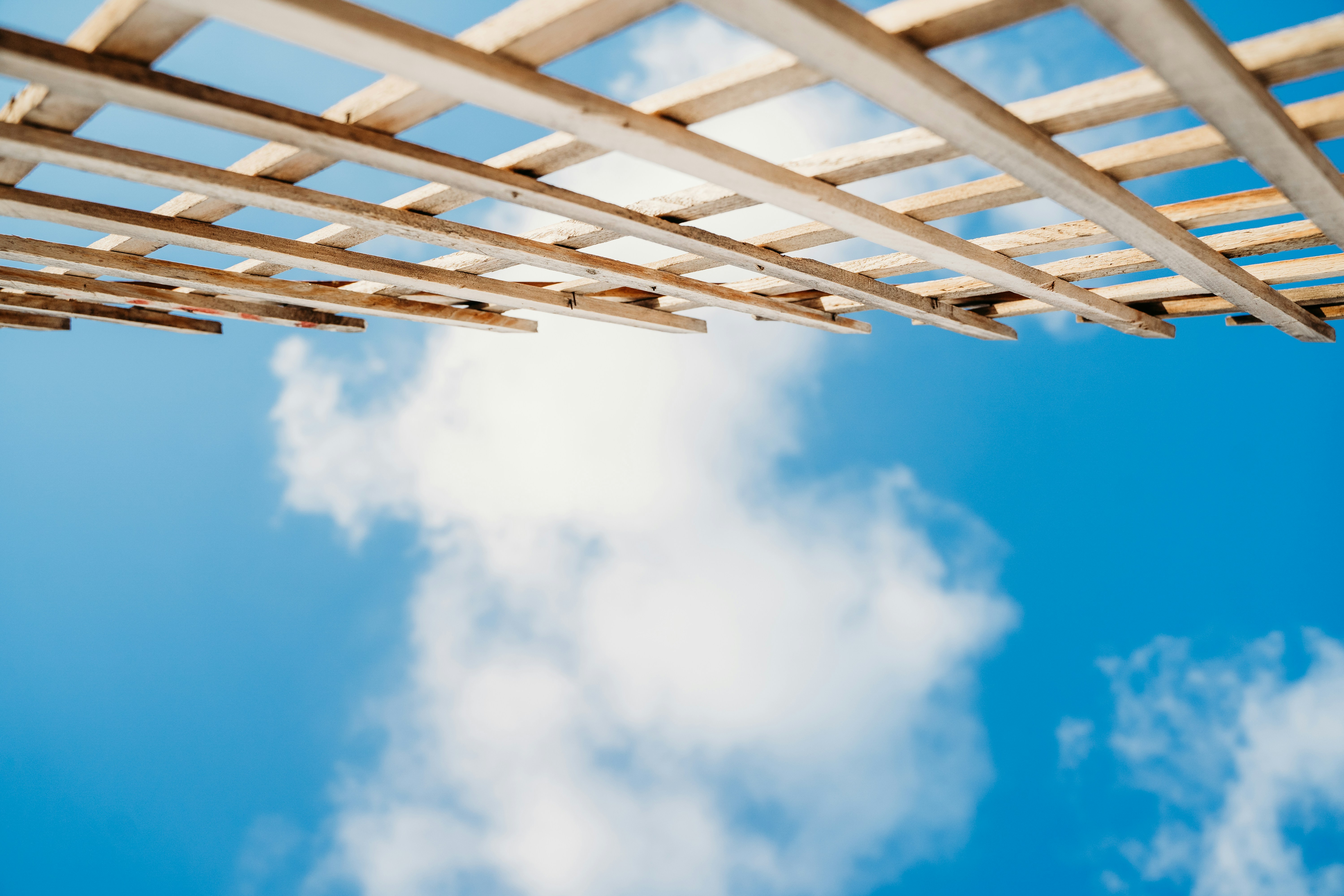 Entretien Pergola Bois : Guide Complet pour Préserver Votre Structure