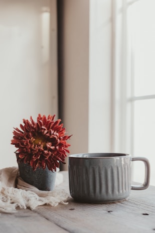 A serene morning scene with sunlight filtering through sheer curtains onto a white ceramic mug and a small succulent plant.