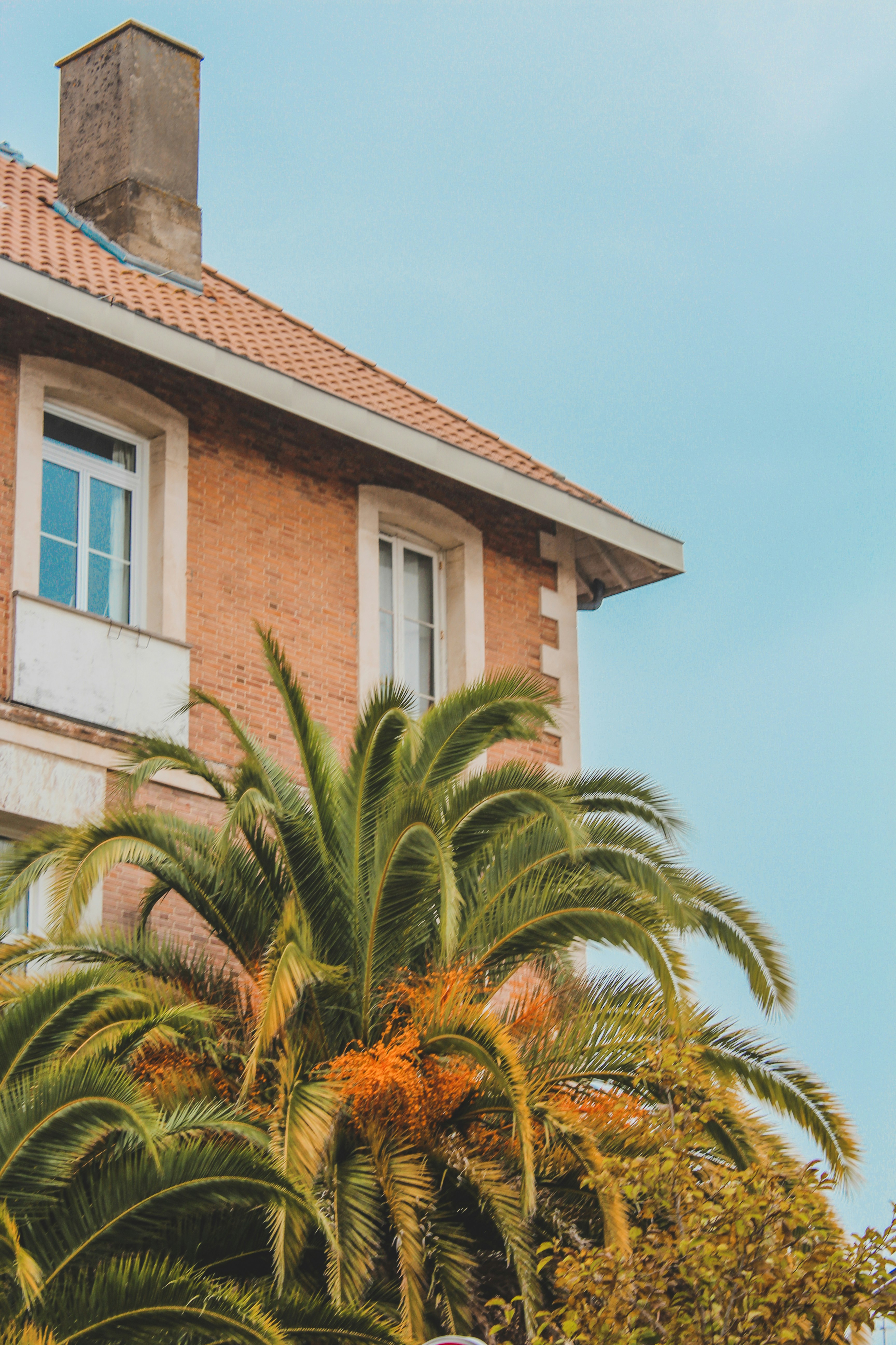 Arcahon House and Palm Trees