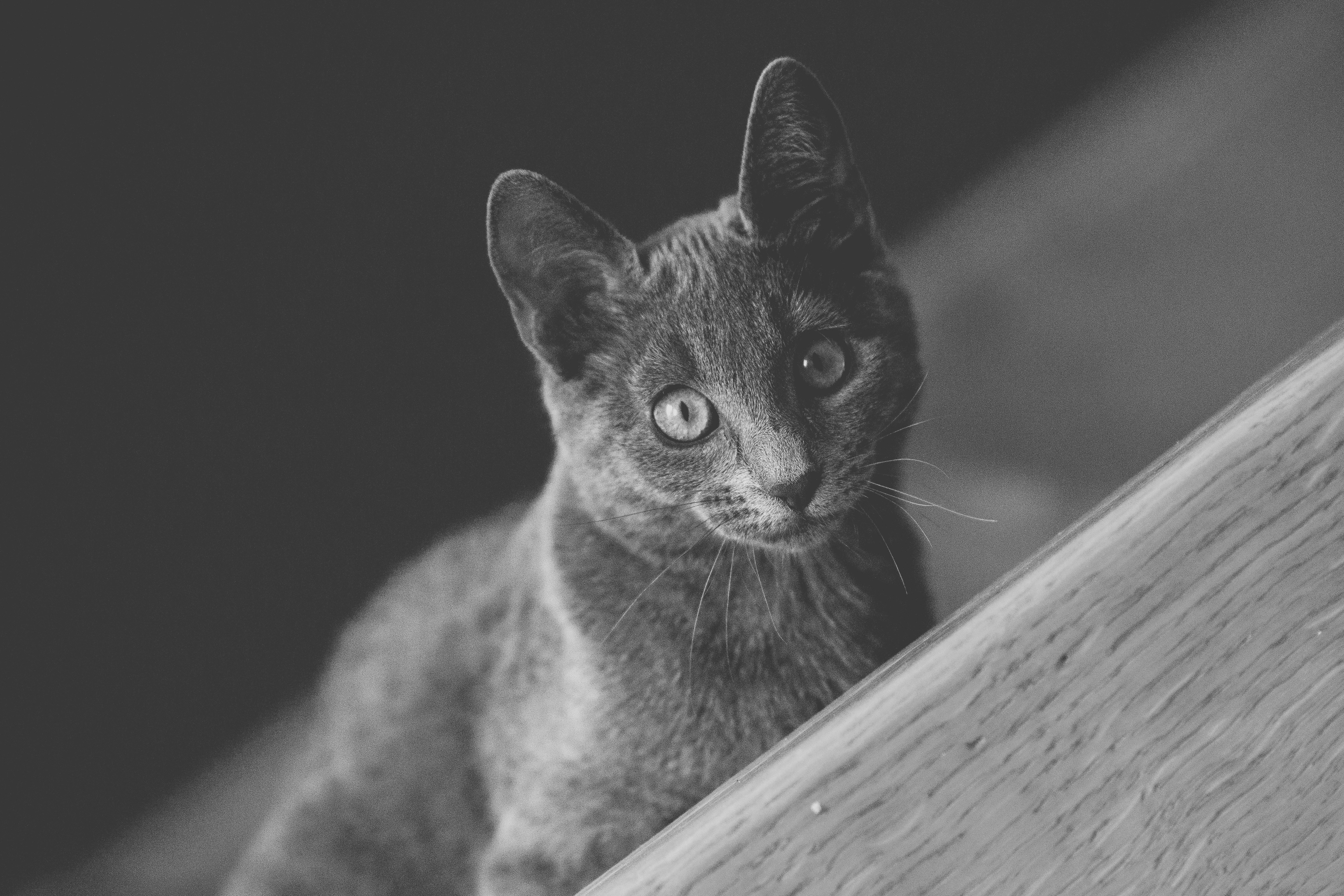 Low-Maintenance Health (image credits: unsplash)