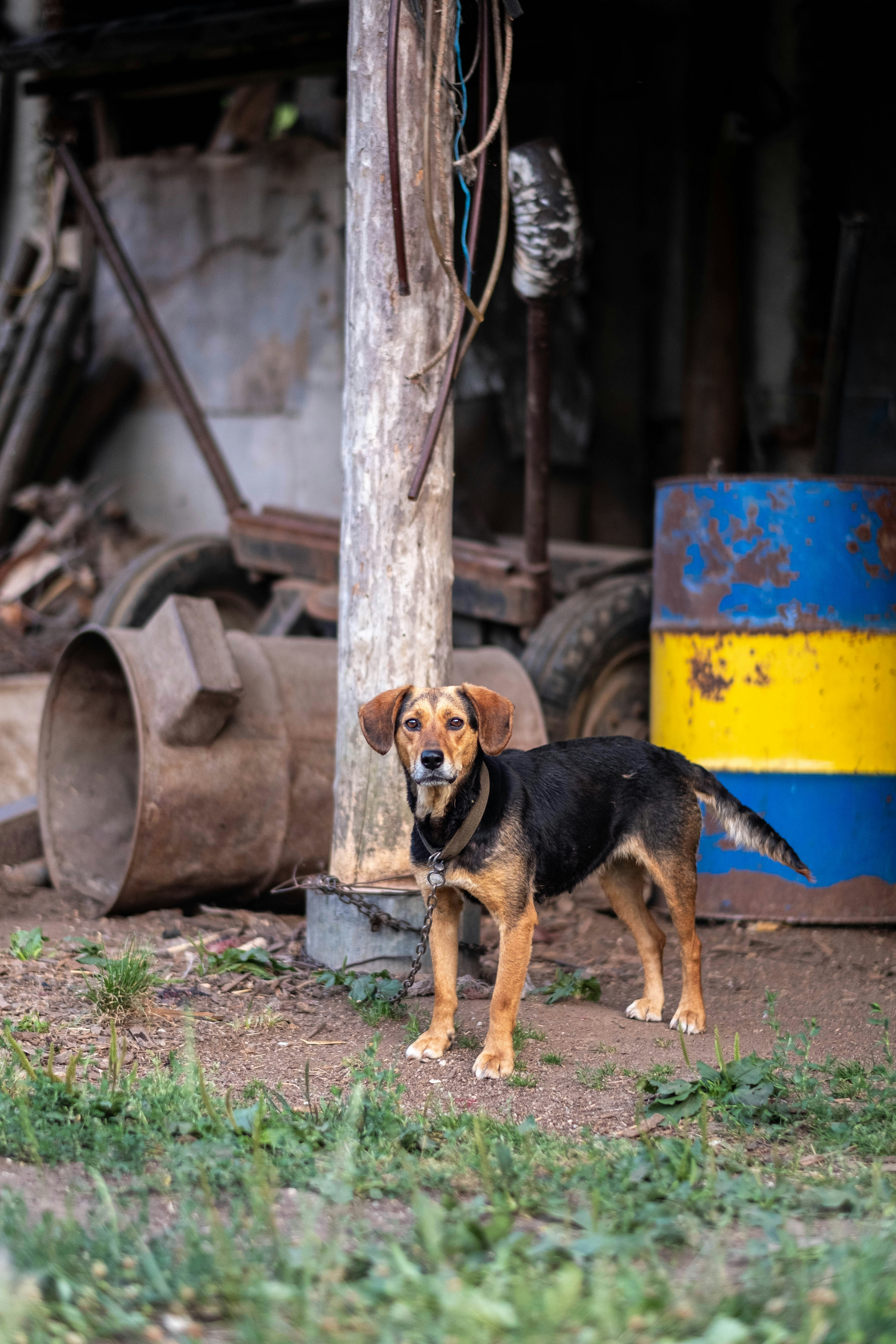 Photo by thejohnnyme