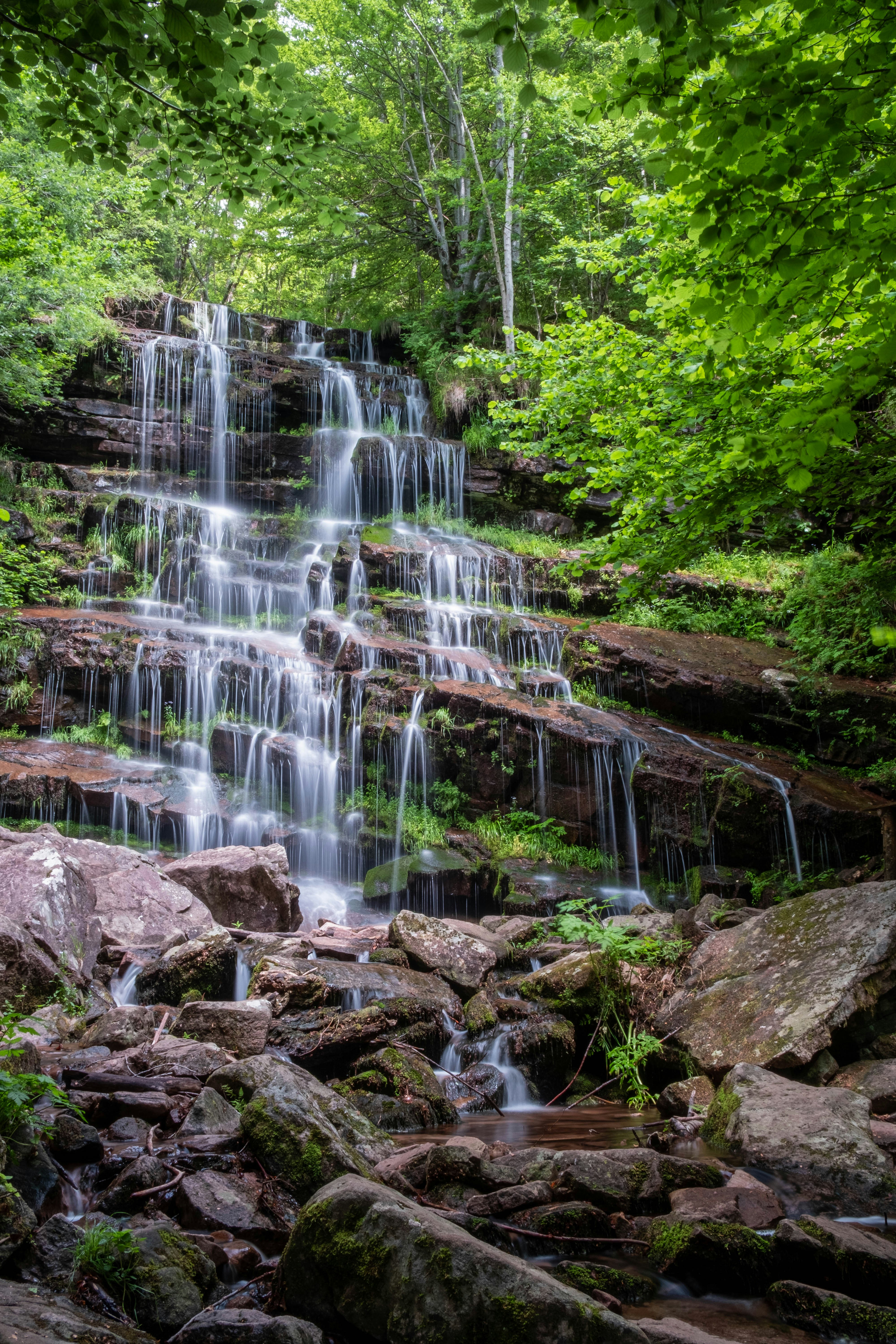 Photo by thejohnnyme