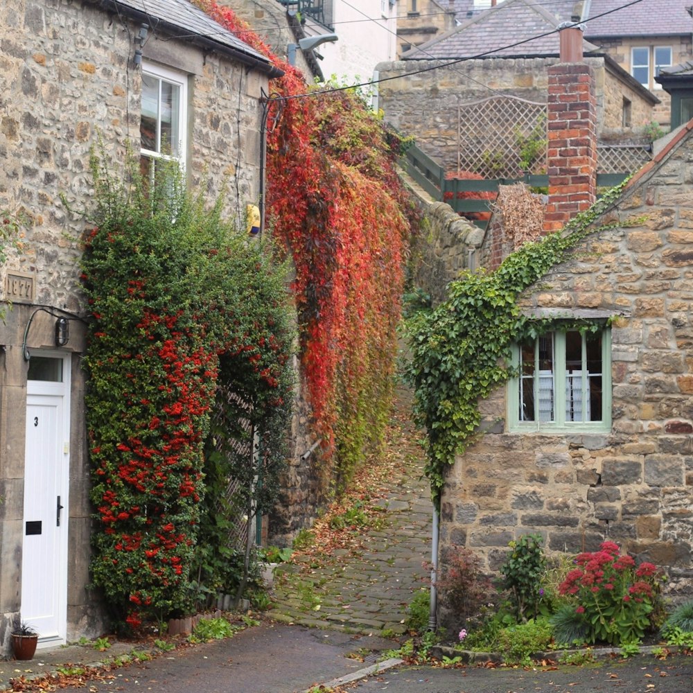 a narrow street with stone buildings covered in vines