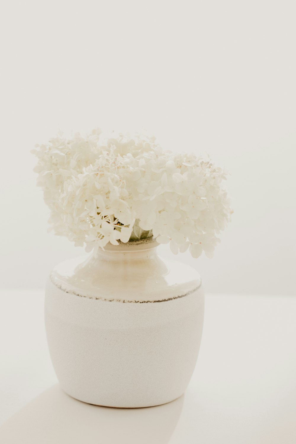 un vaso di fiori su un tavolo