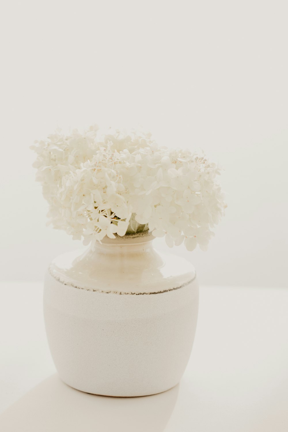 a vase of flowers on a table