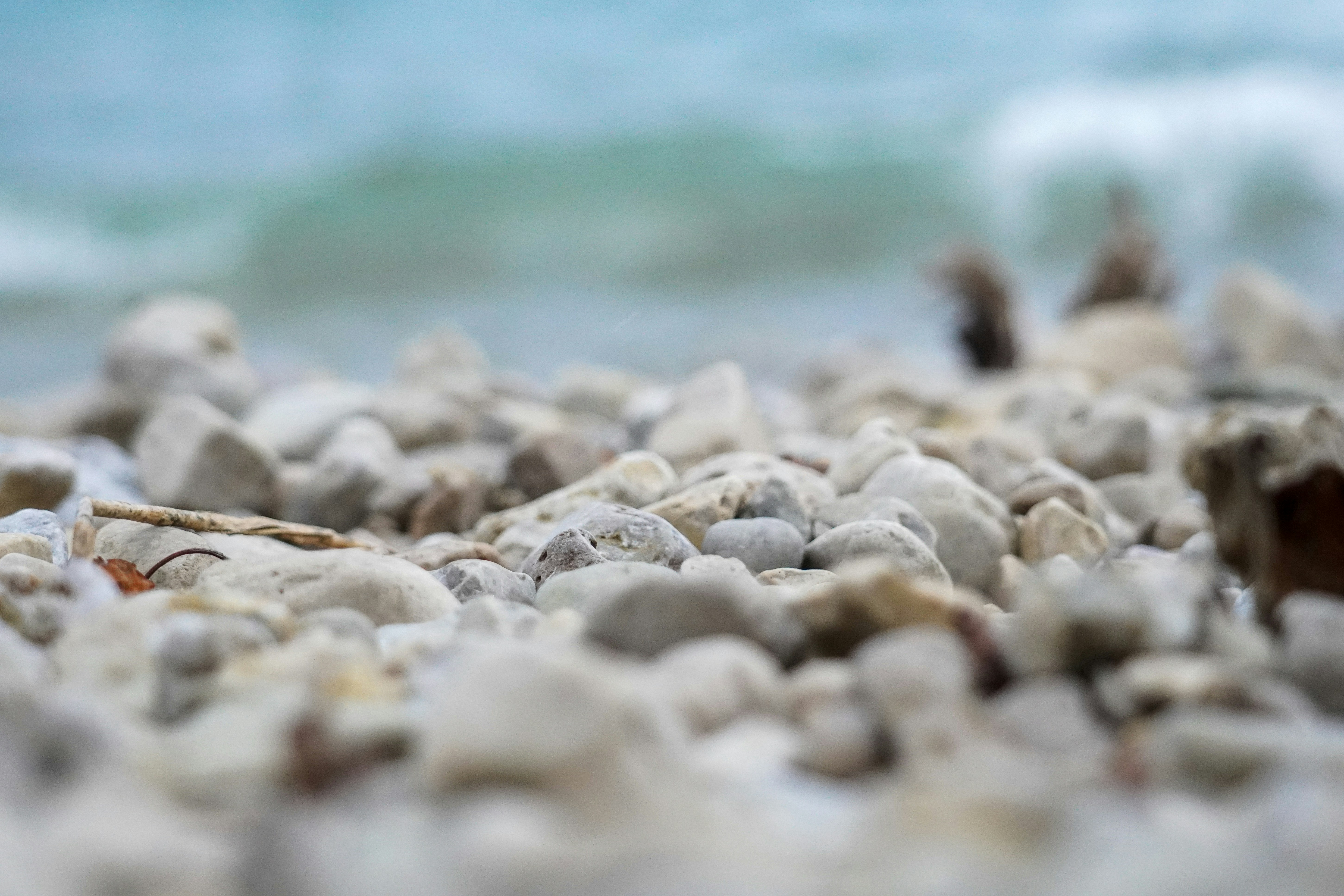 a close up of rocks on a beach with water in the background, 