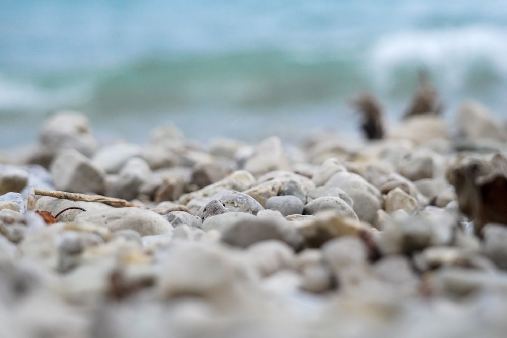 a close up of rocks on a beach with water in the background