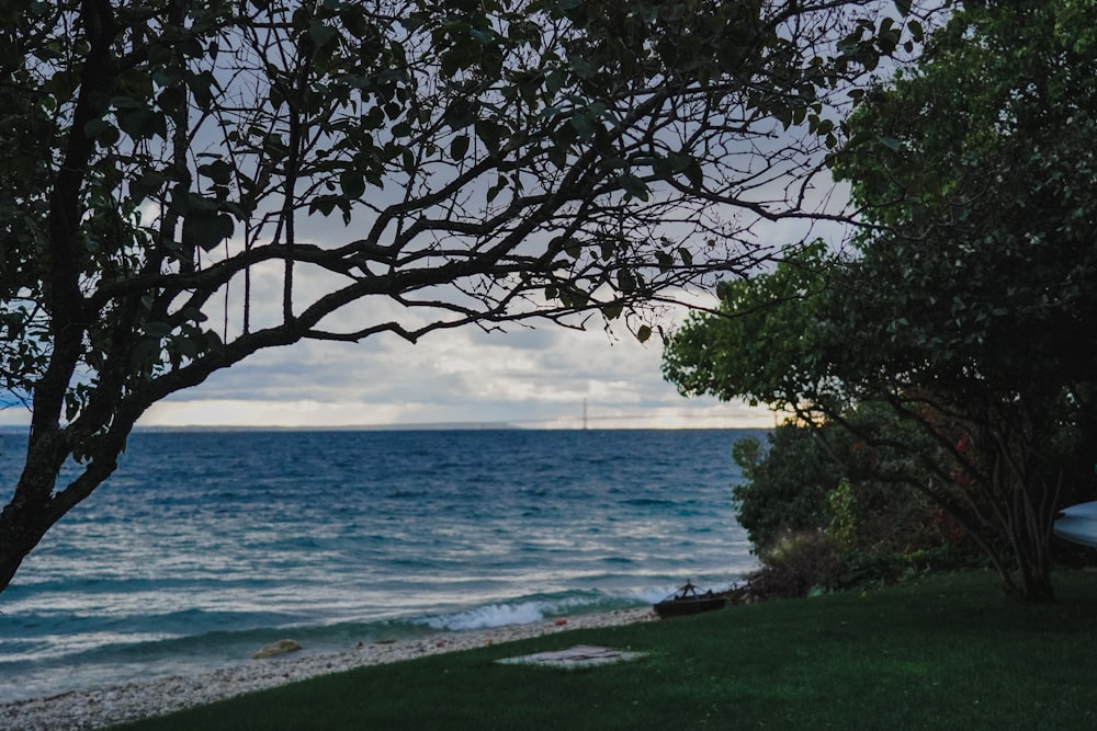 a view of a body of water through some trees