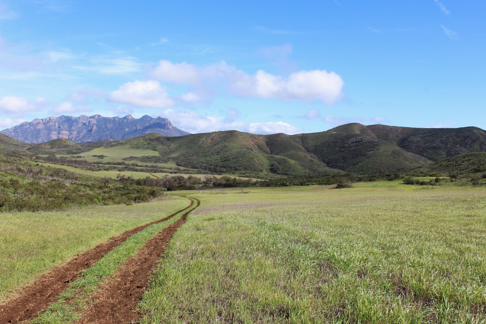a dirt road in the middle of a field with mountains in the background
