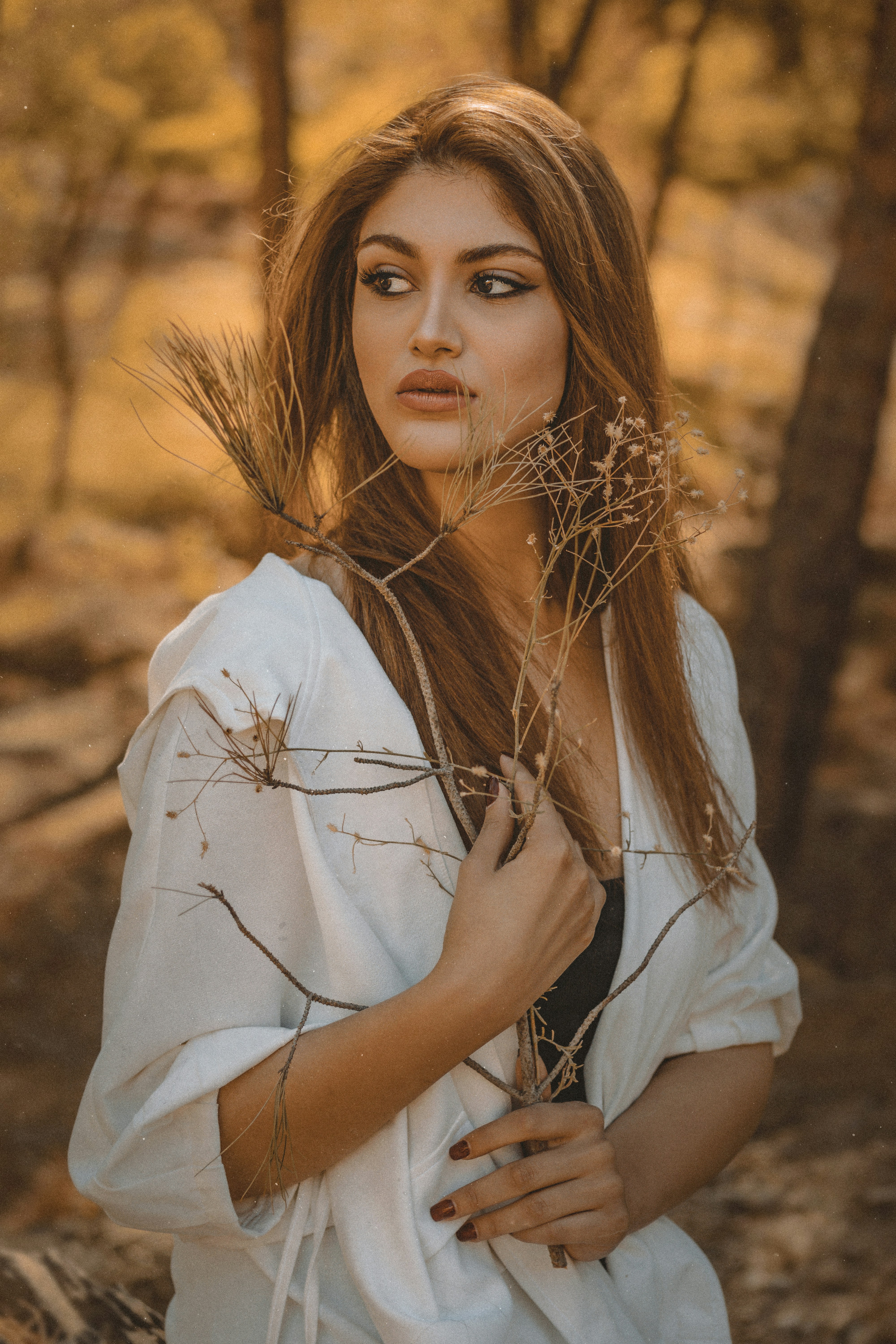 Photo by mahdibafande