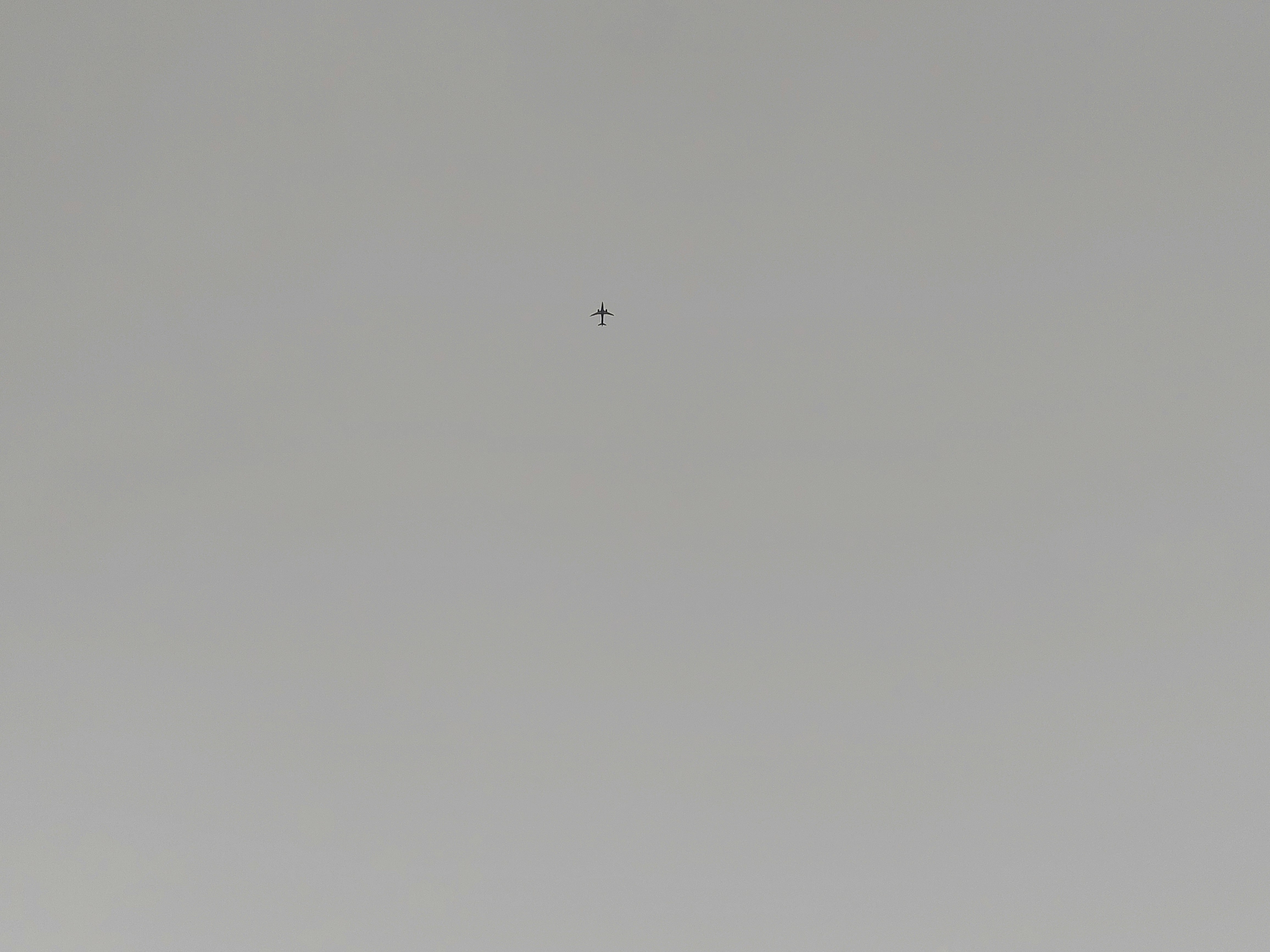 Photo by monica_baskar