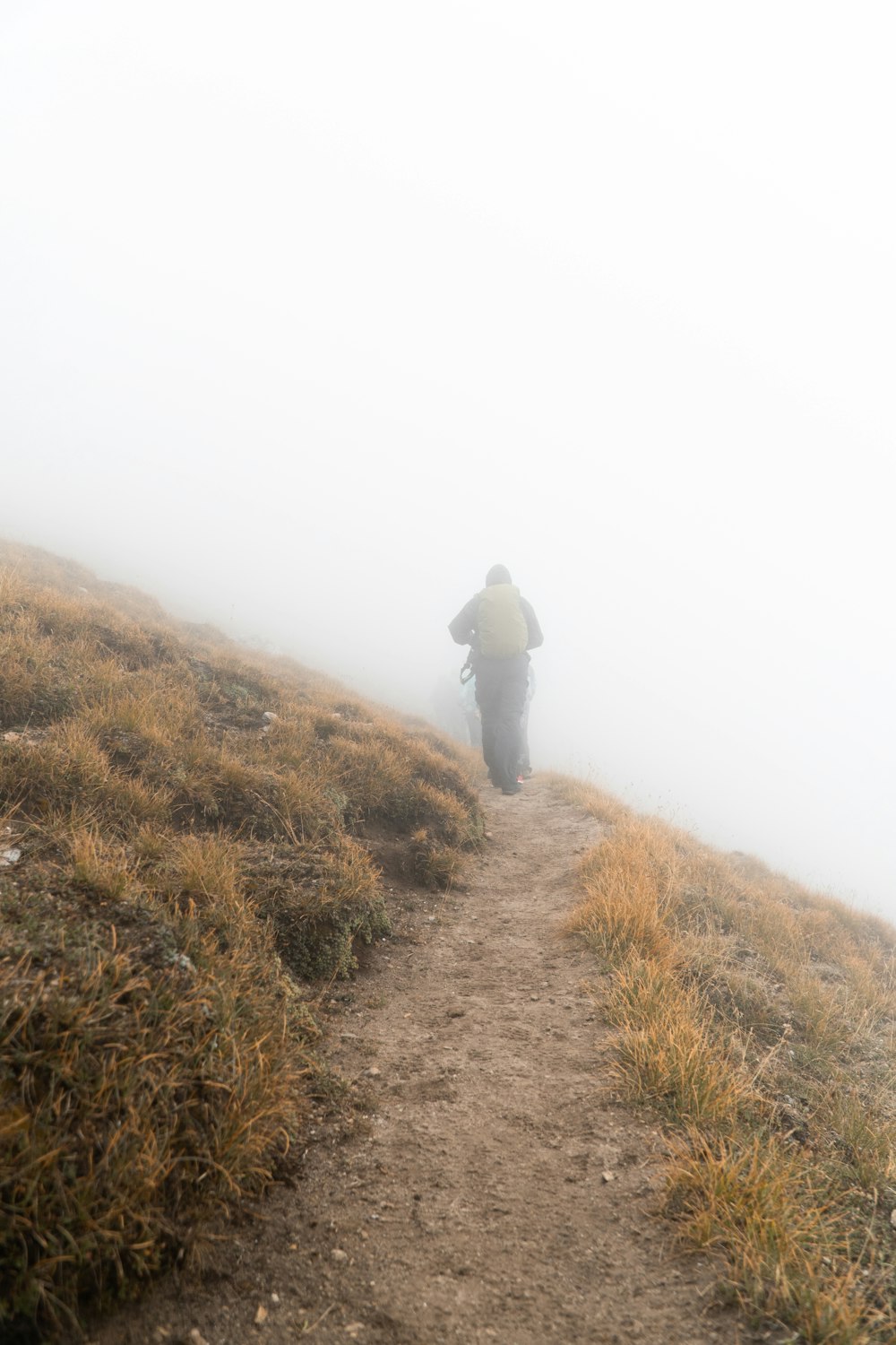 a person riding a bike on a foggy trail