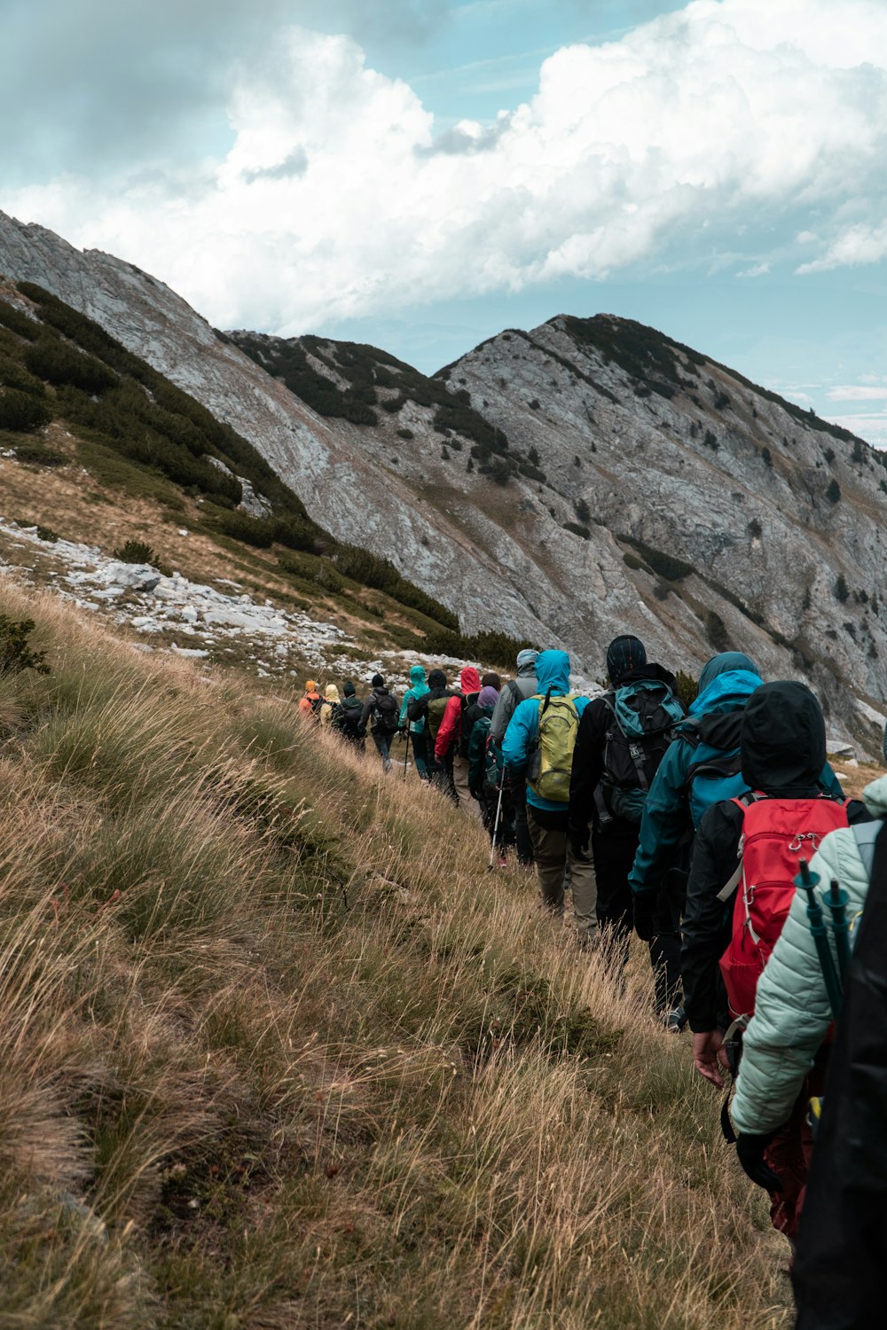 a large group of people walking up a hill