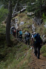 a group of people hiking up a hill