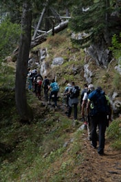 a group of people hiking up a hill